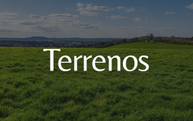 Selo 3 - Terrenos