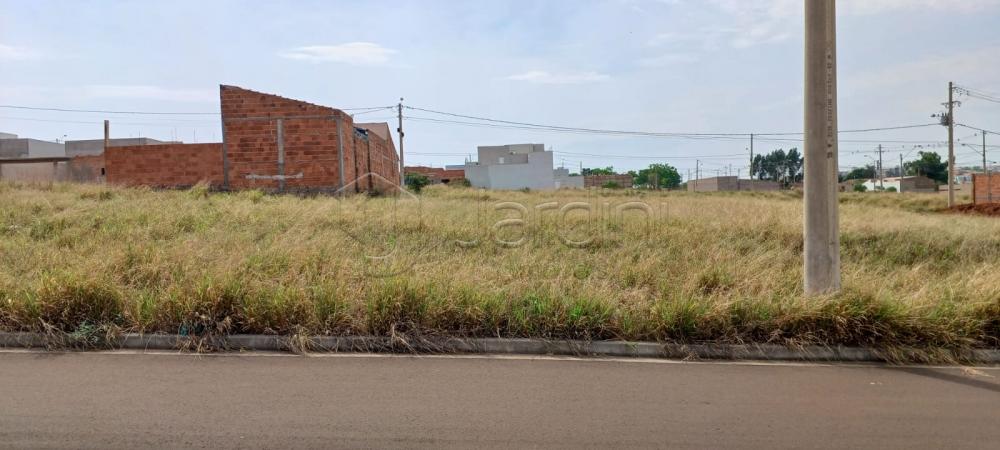 Terreno a Venda no Loteamento Quinta do Oeste