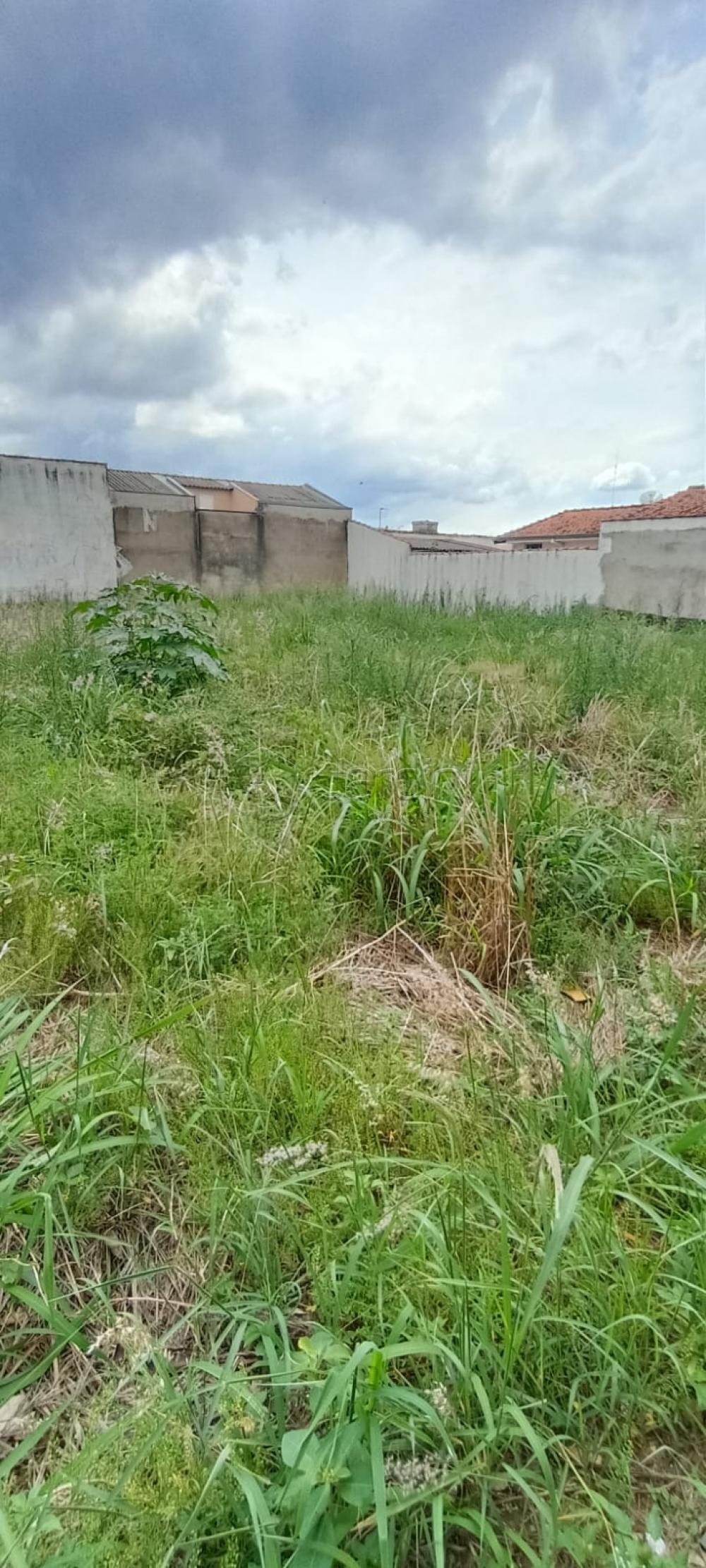 Terreno à Venda no Parque Progresso