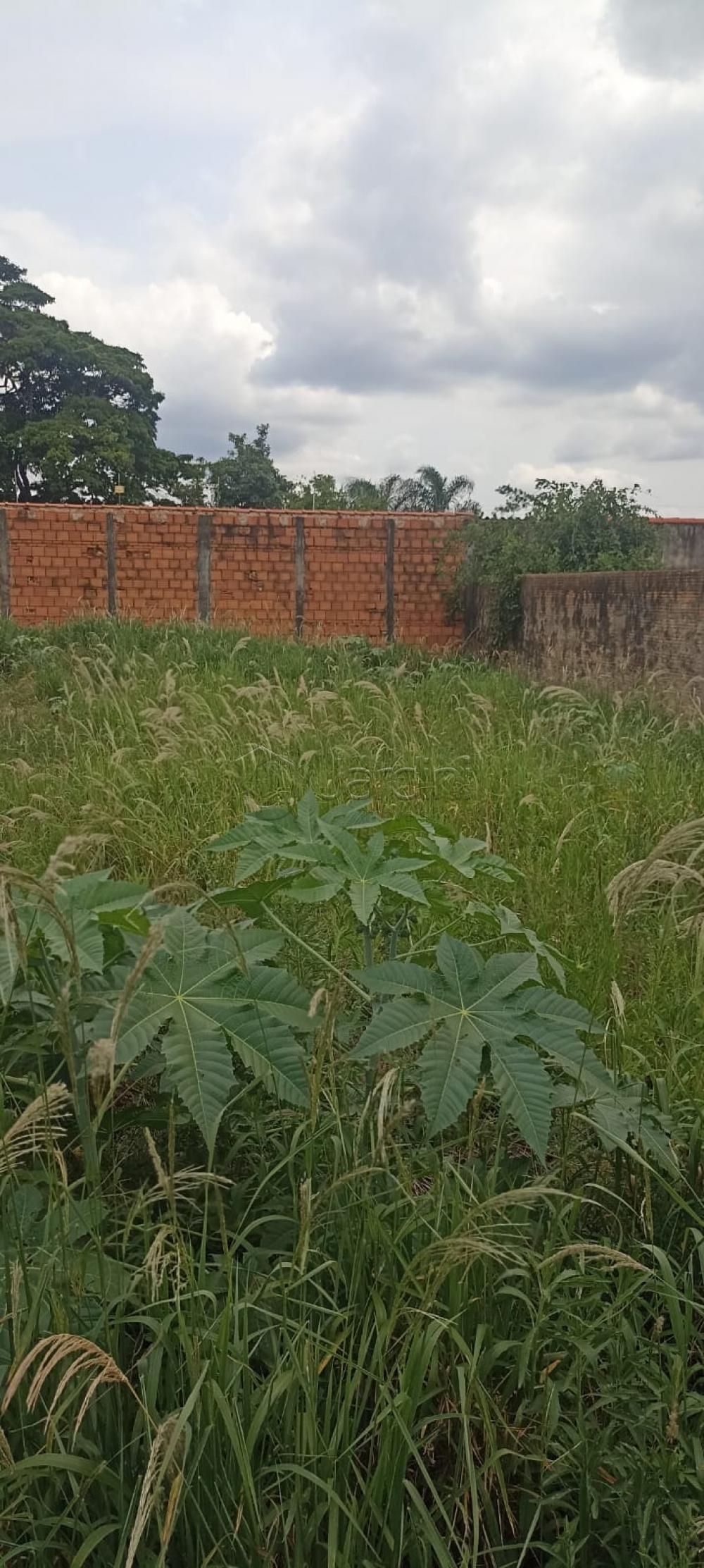 Terreno à venda no Aeroporto I