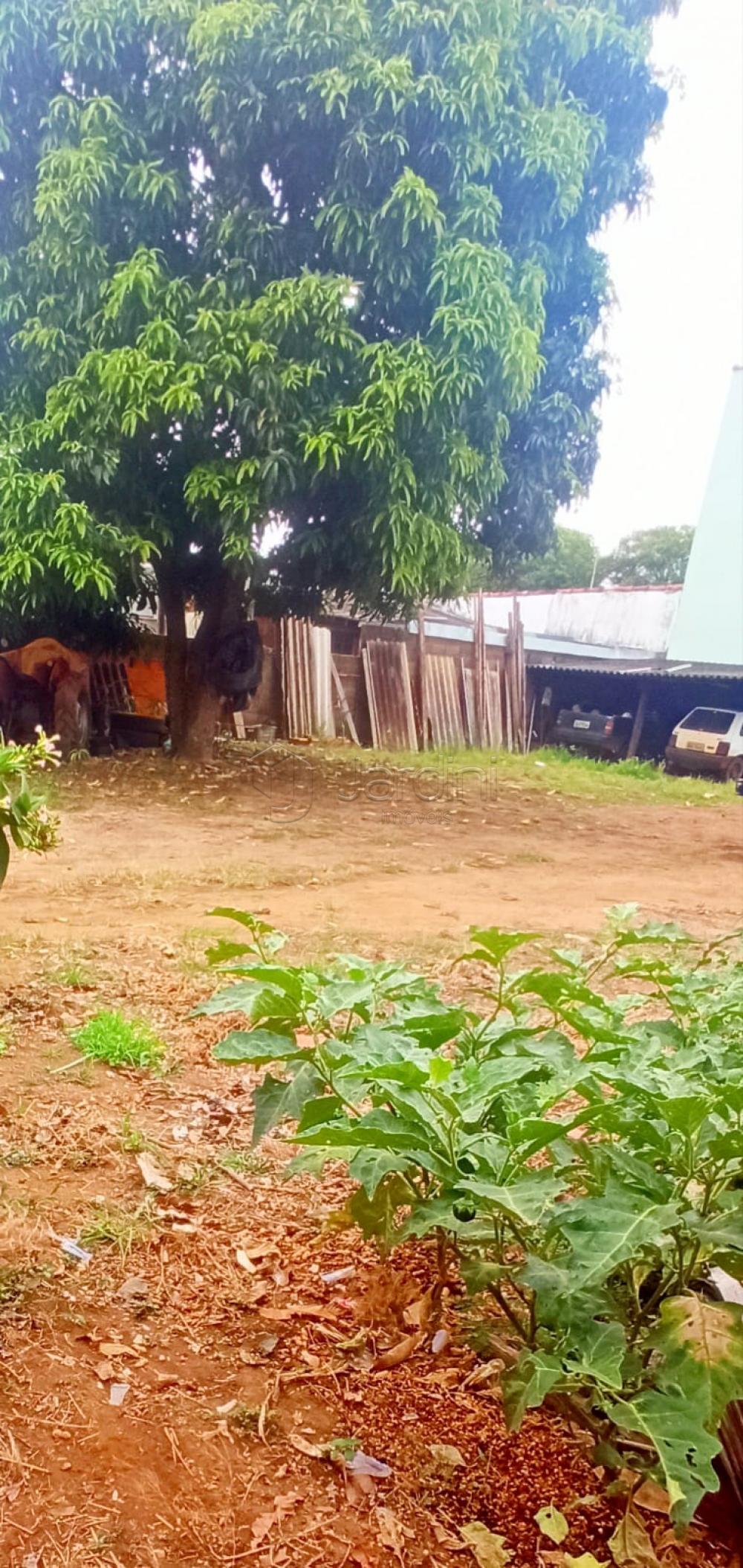 Terreno a Venda na Vila Scarabucci