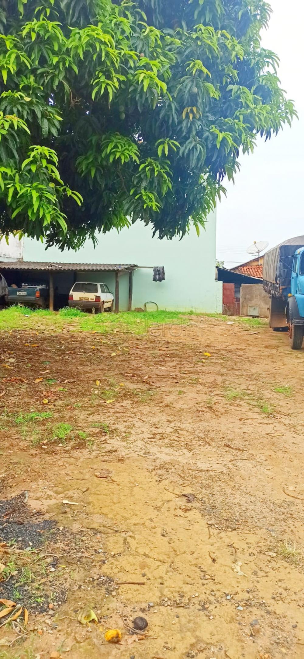 Terreno a Venda na Vila Scarabucci