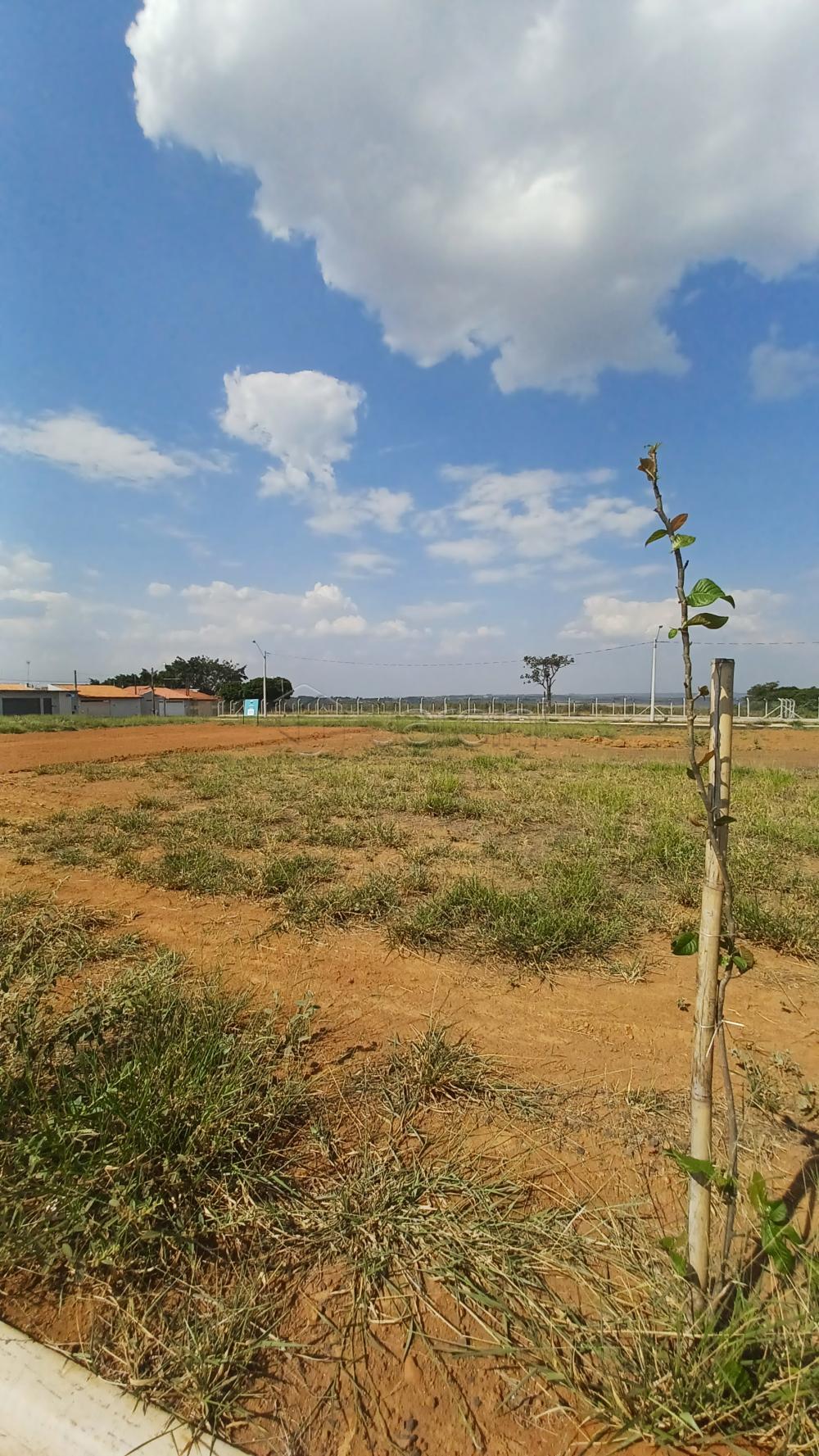 Terreno a Venda no Ana Helena