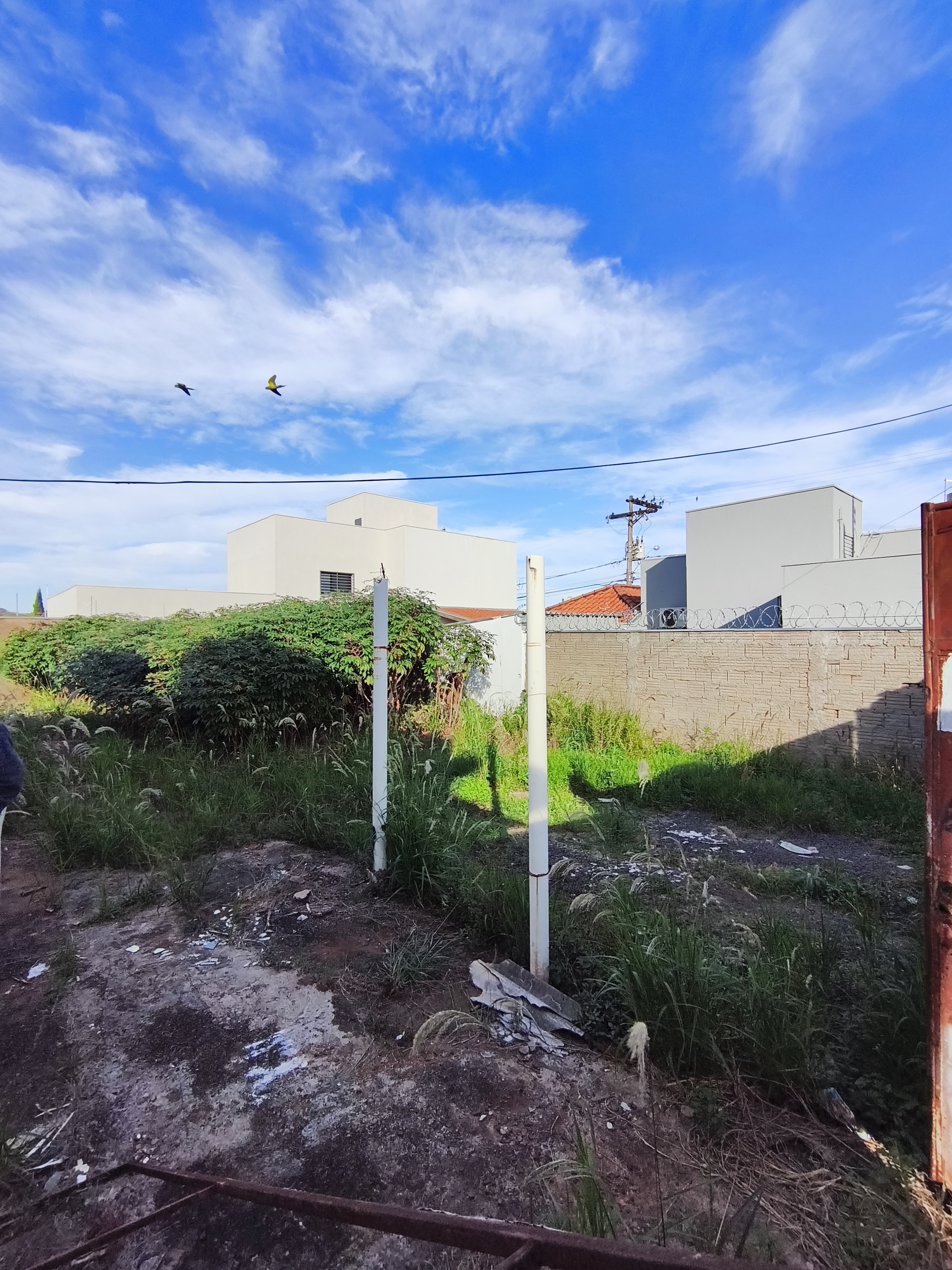 Terreno a venda Jardim Consolação 