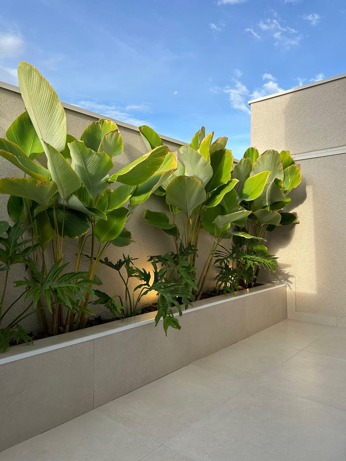 Casa a Venda no São Joaquim