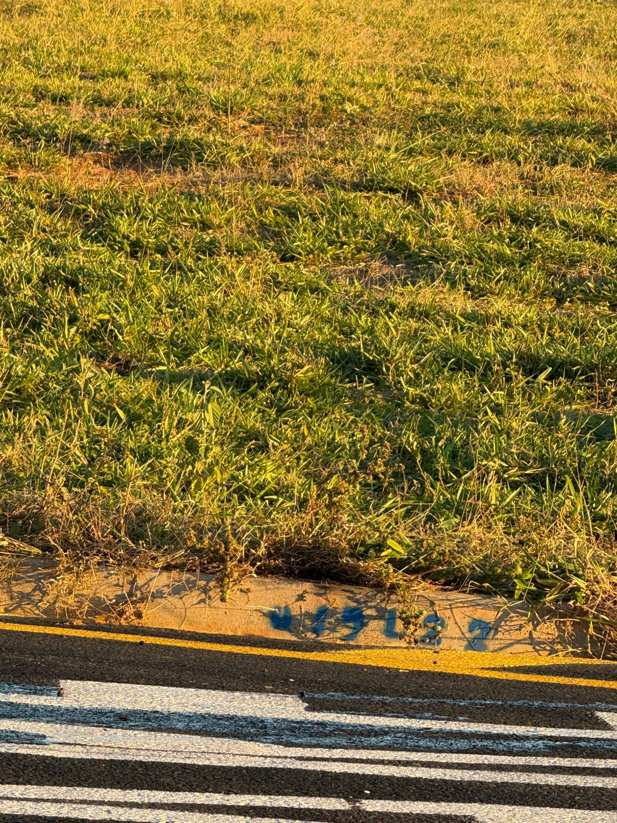 Terreno residencial Pouso Alegre à Venda