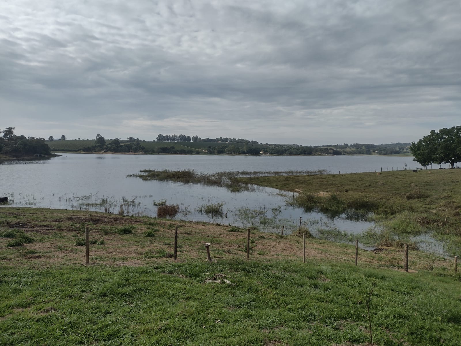 Sitio em Cassia Mg à venda 