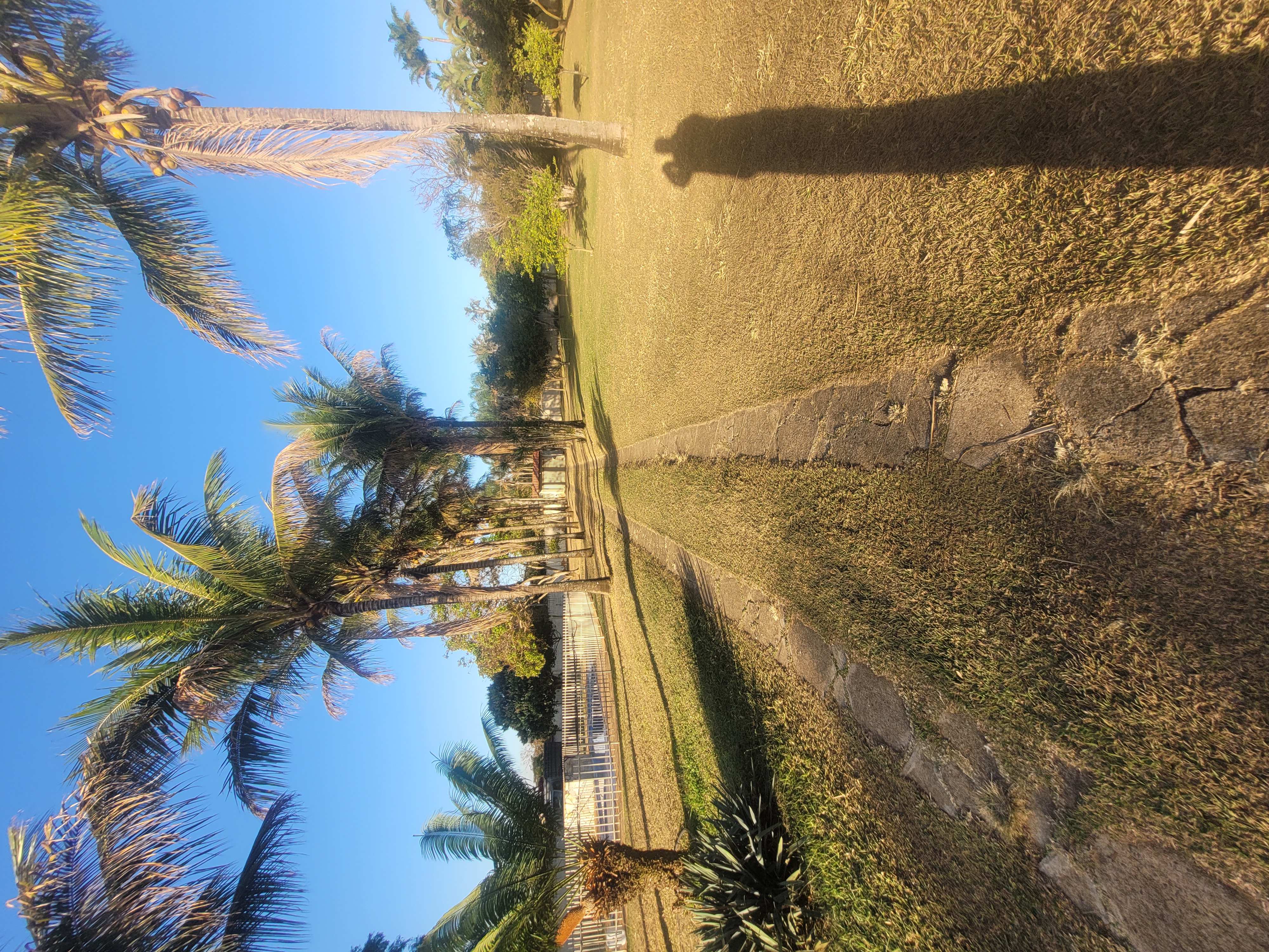 Rural no bairro CONDOMINIO BELVEDERE DE CRISTAIS à Venda