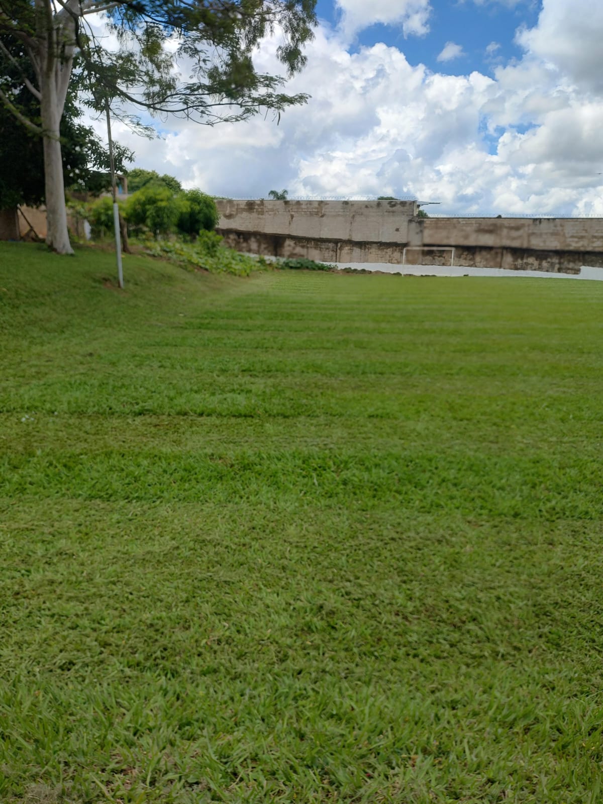Casa a venda Jardim Zelinda