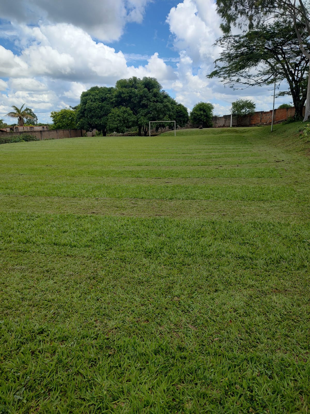 Casa a venda Jardim Zelinda
