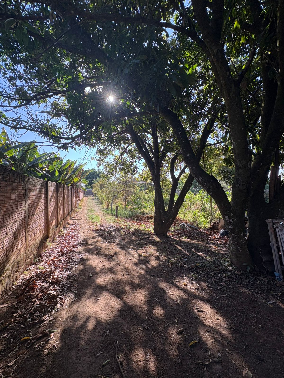 Chácara a venda Jardim Palestina