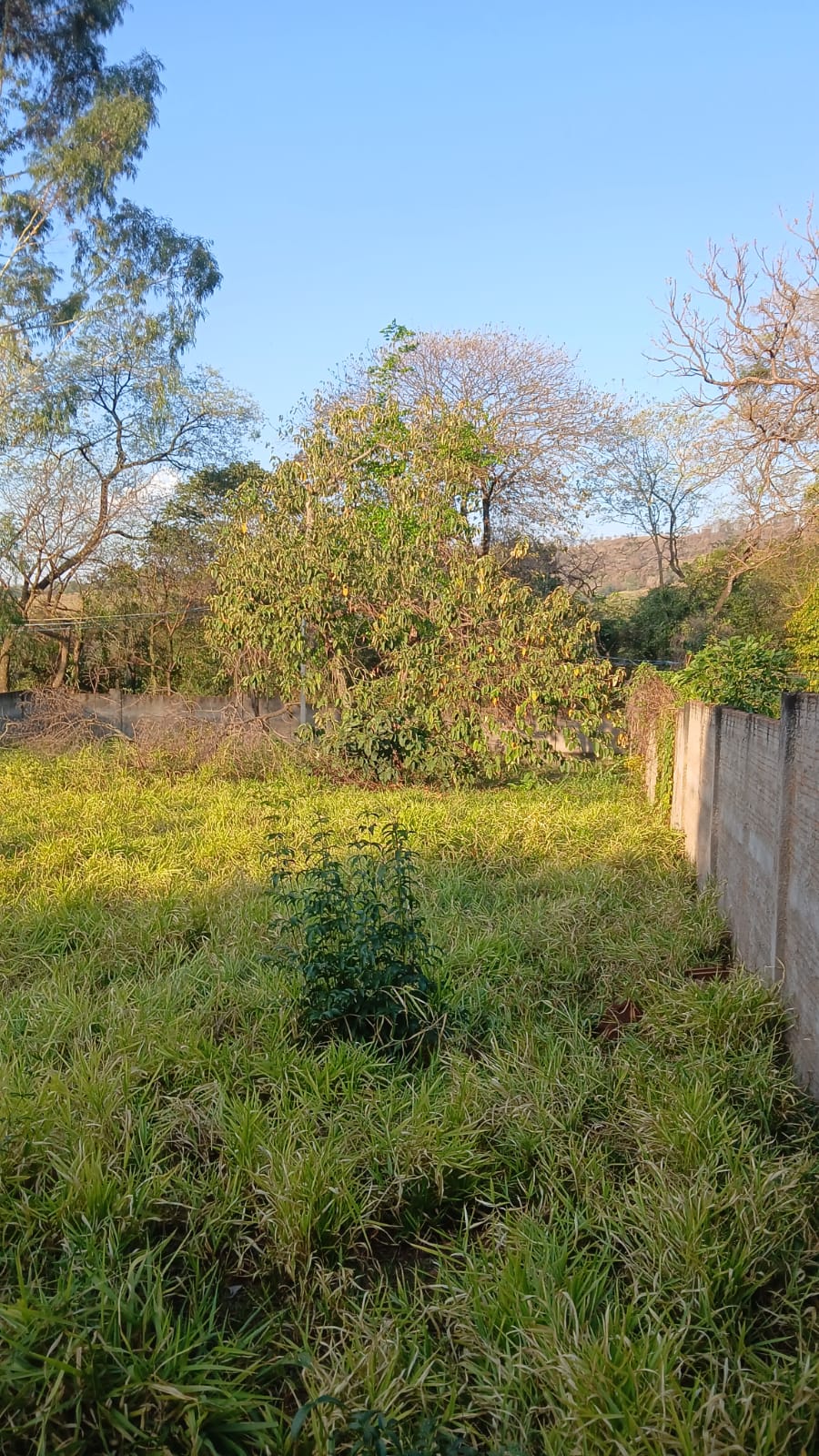 Terreno a Venda no Jardim Samello V