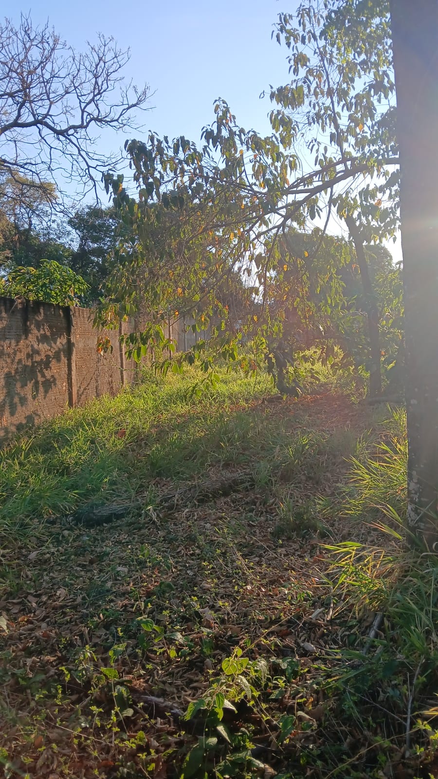 Terreno a Venda no Jardim Samello V