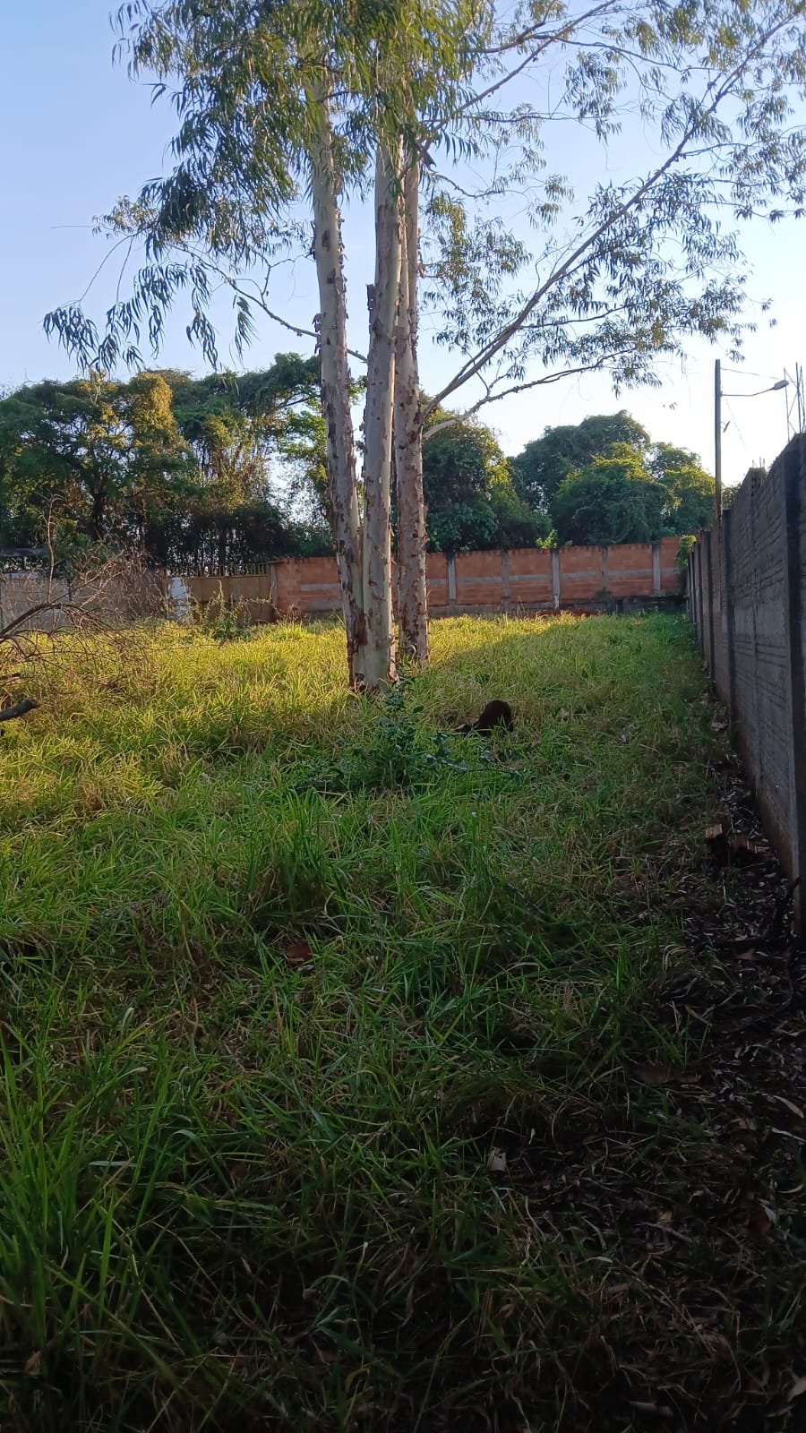 Terreno a Venda no Jardim Samello V