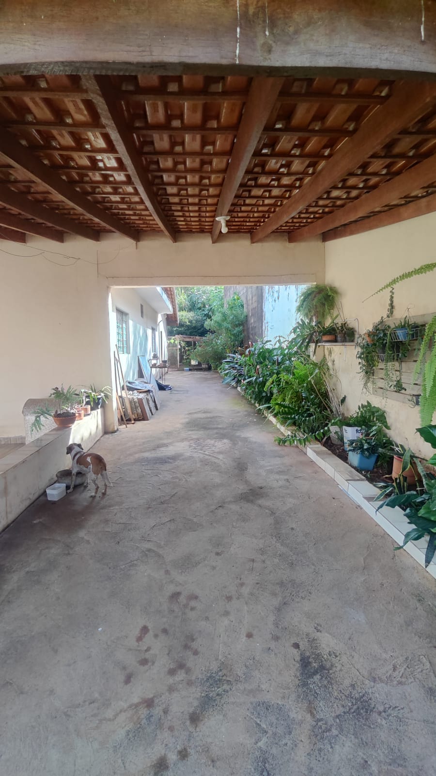 Casa no bairro Jardim Paulistano à Venda