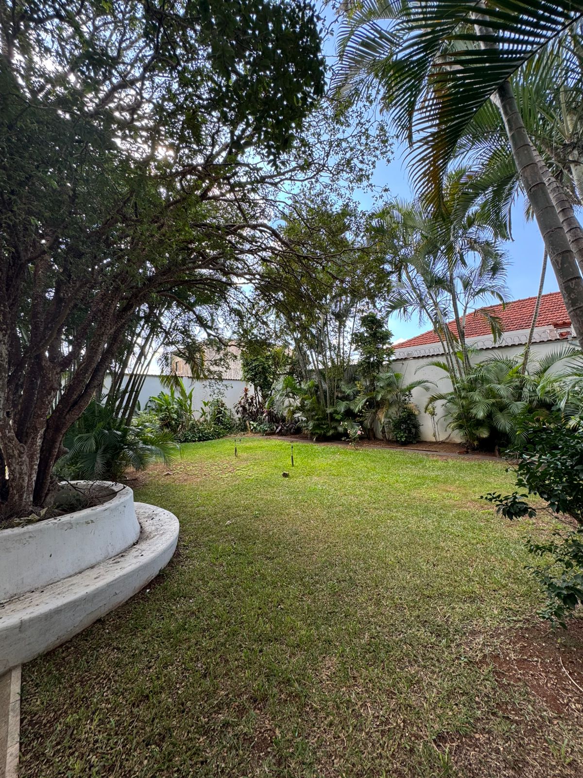 Casa no Centro à Venda