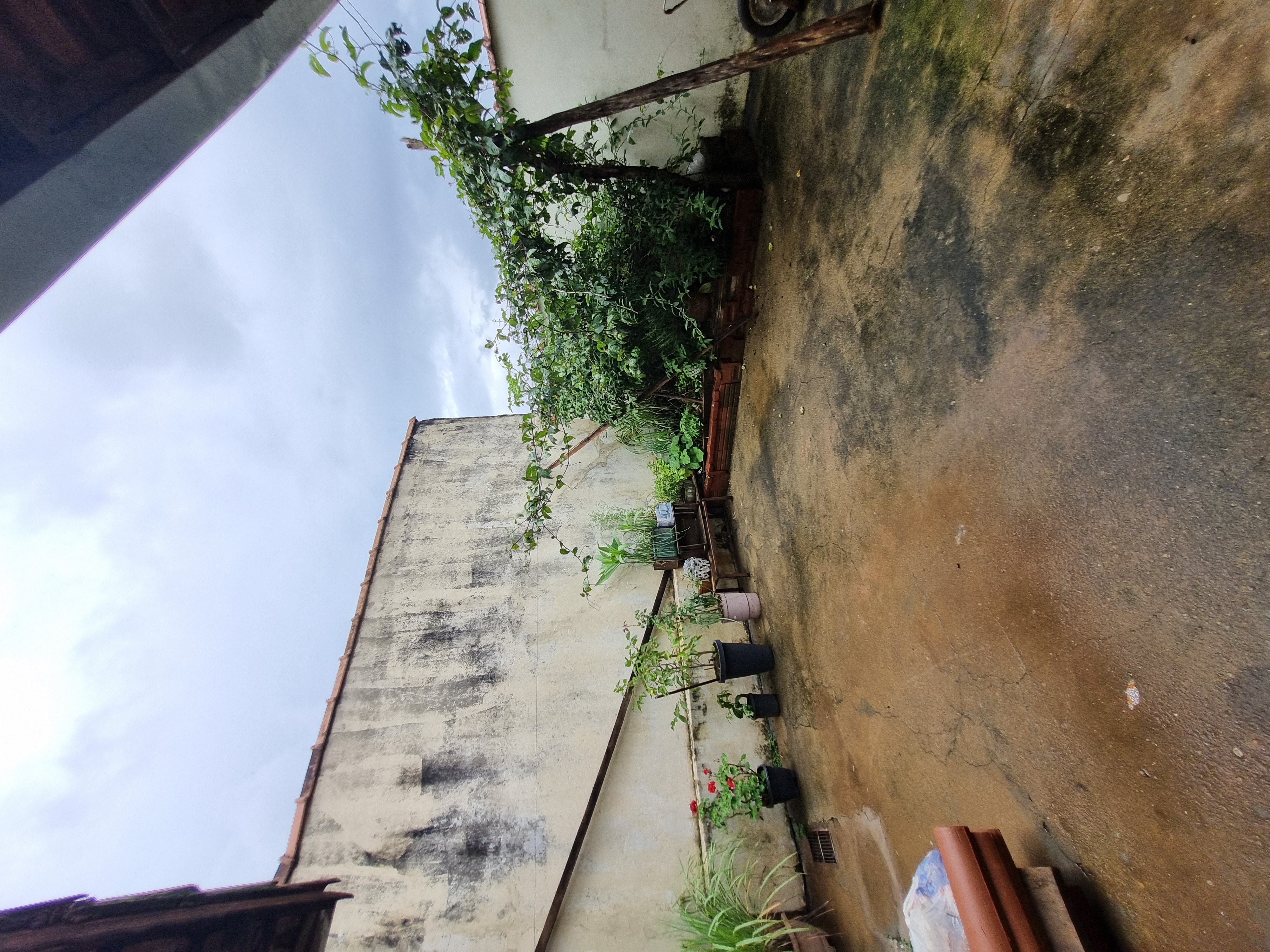 Casa à Venda no Bairro Pinheiros II