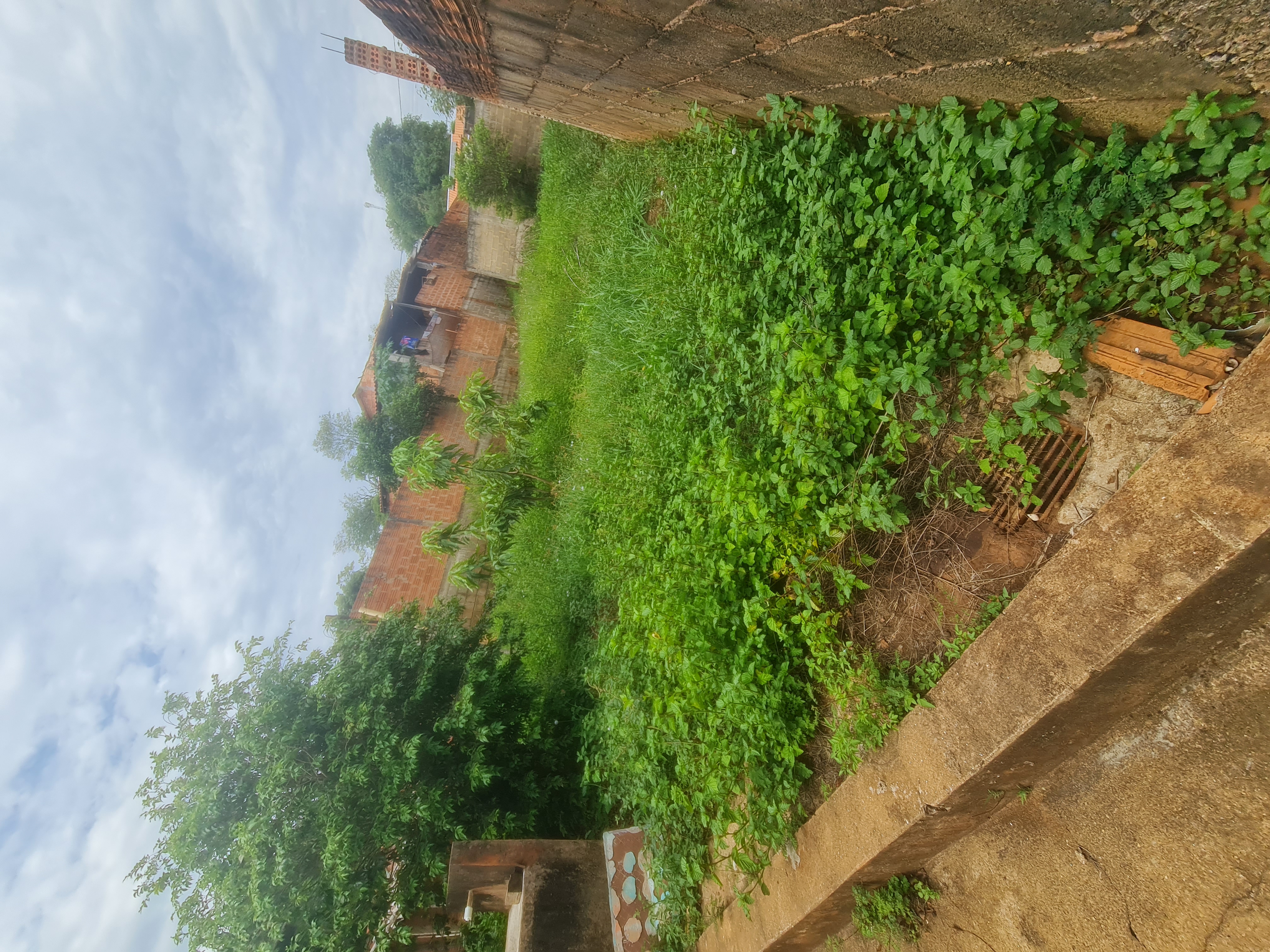 Casa à Venda no Centro 