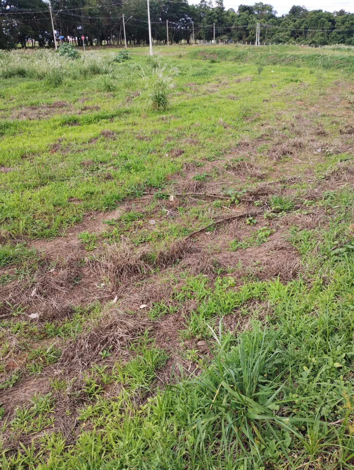 Terreno a Venda na Reserva Abaeté