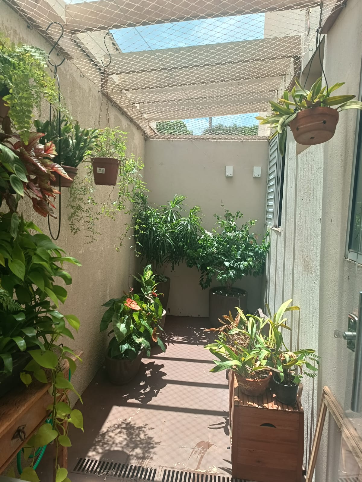 APARTAMENTO A VENDA RESIDENCIAL JOSE CARLOS 