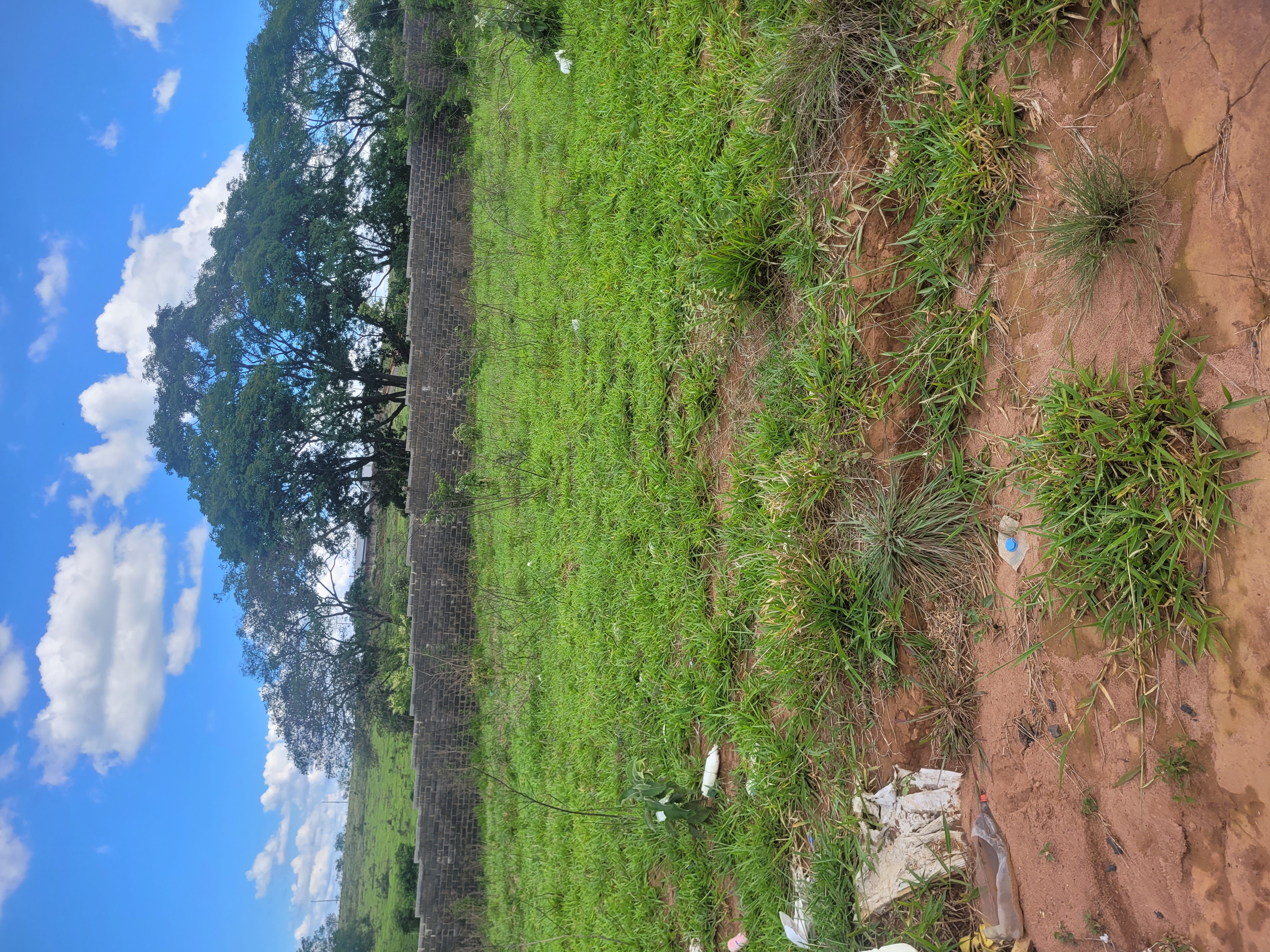 Terreno em Condomínio Fechado