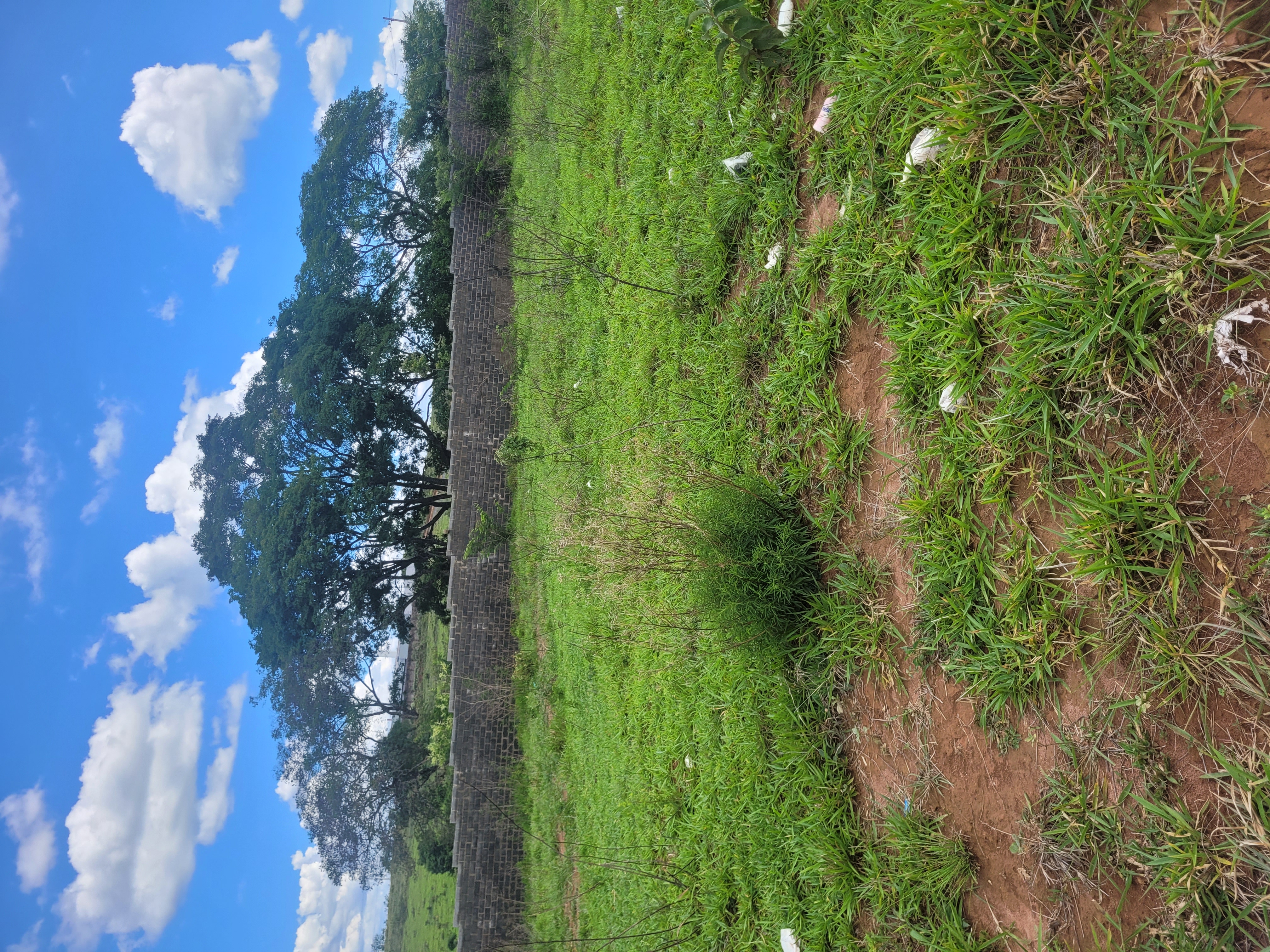 Terreno em Condomínio Fechado