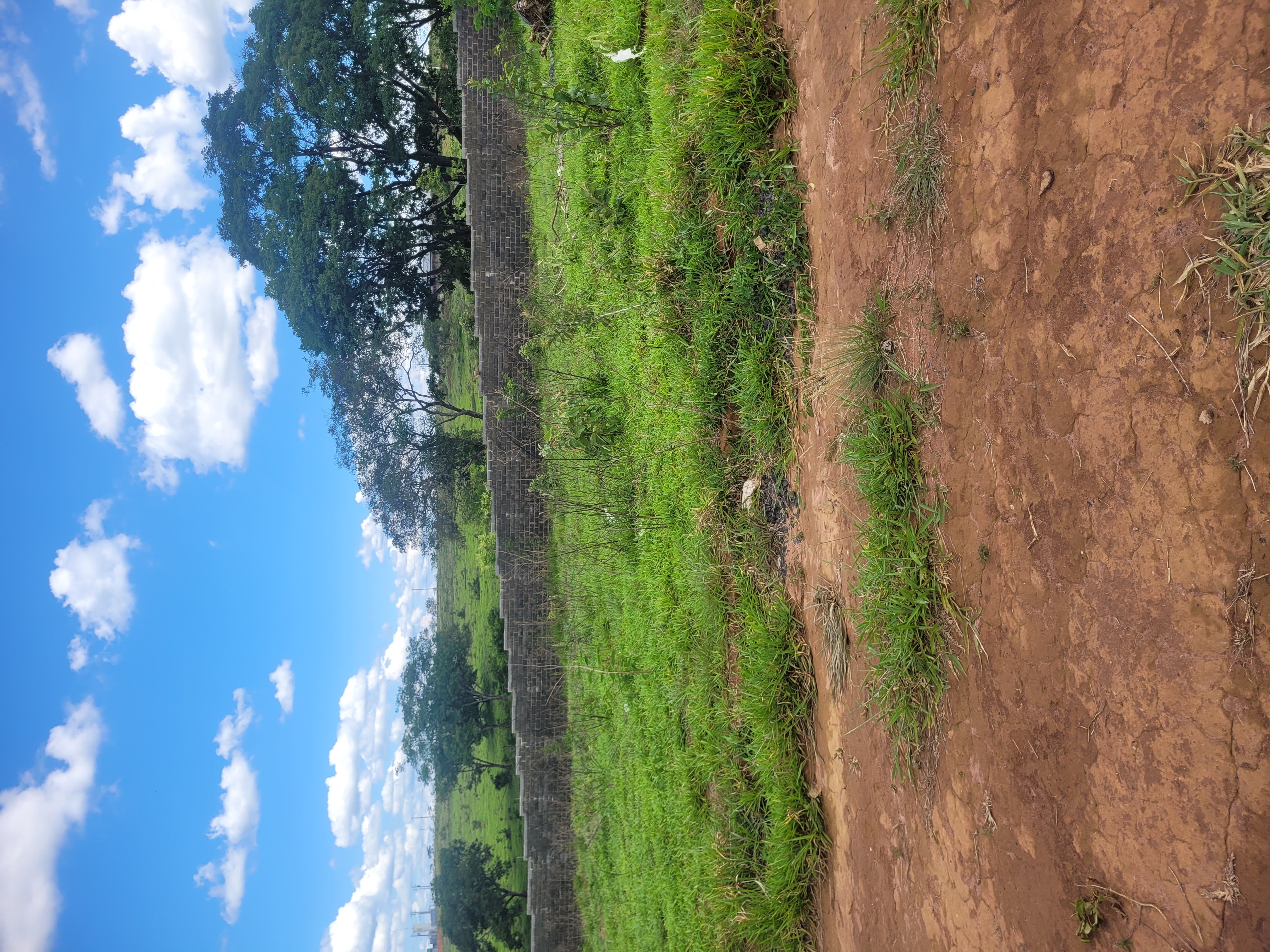 Terreno em Condomínio Fechado