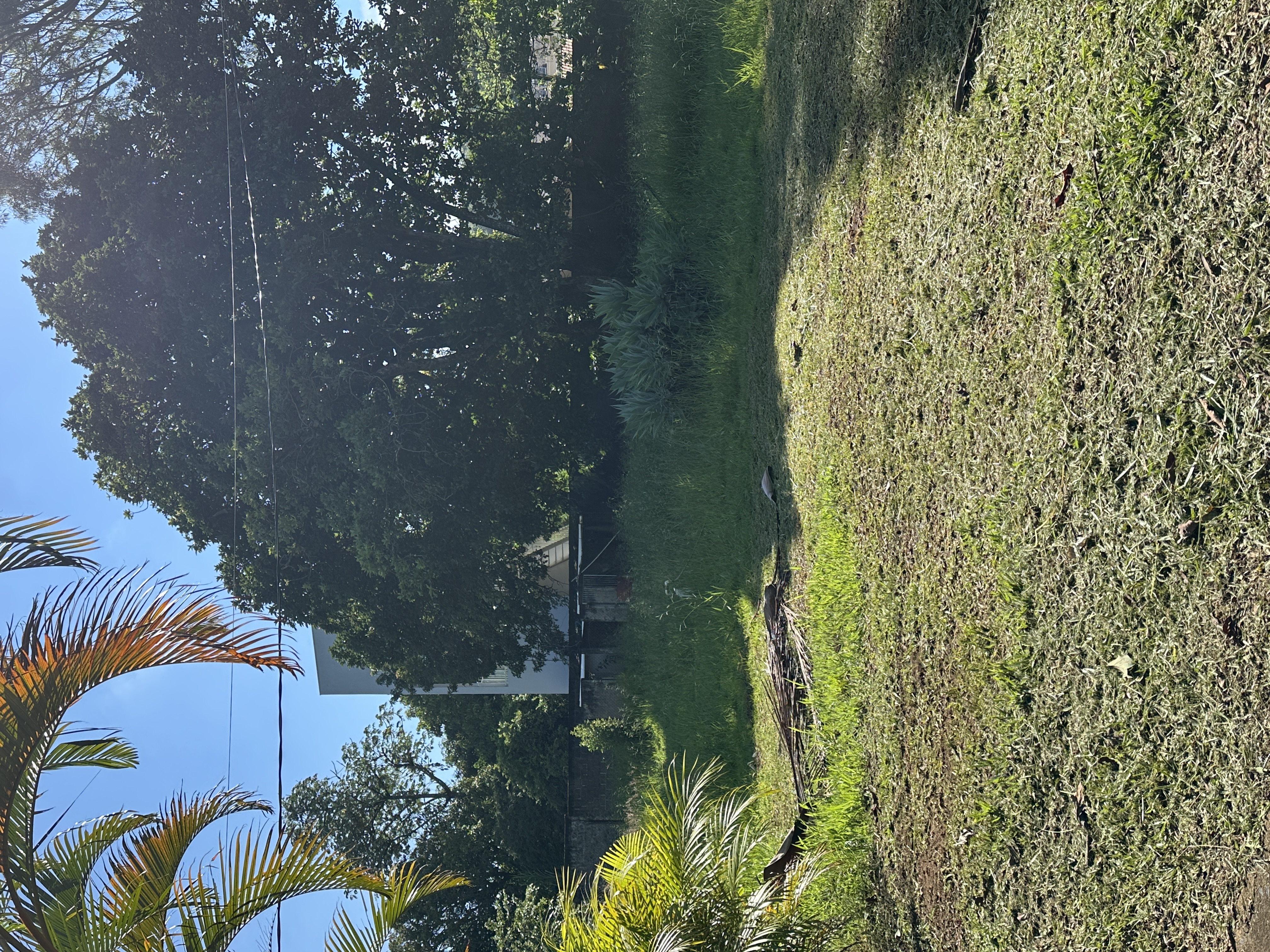 Casa à venda Chácara Espraiado