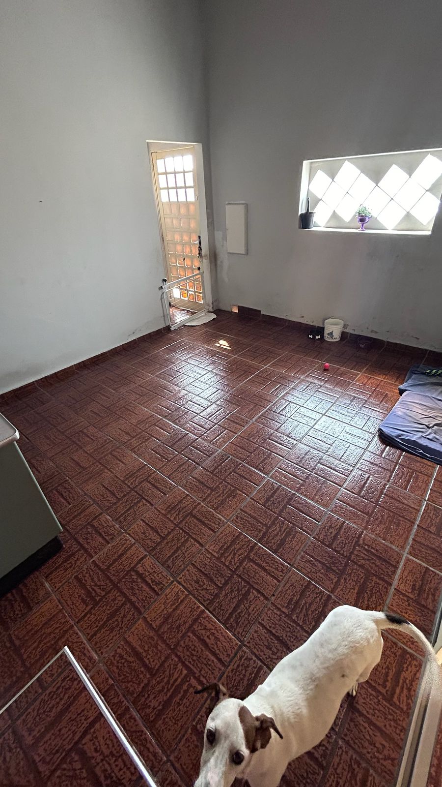 Casa à Venda no Jardim Boa Esperança