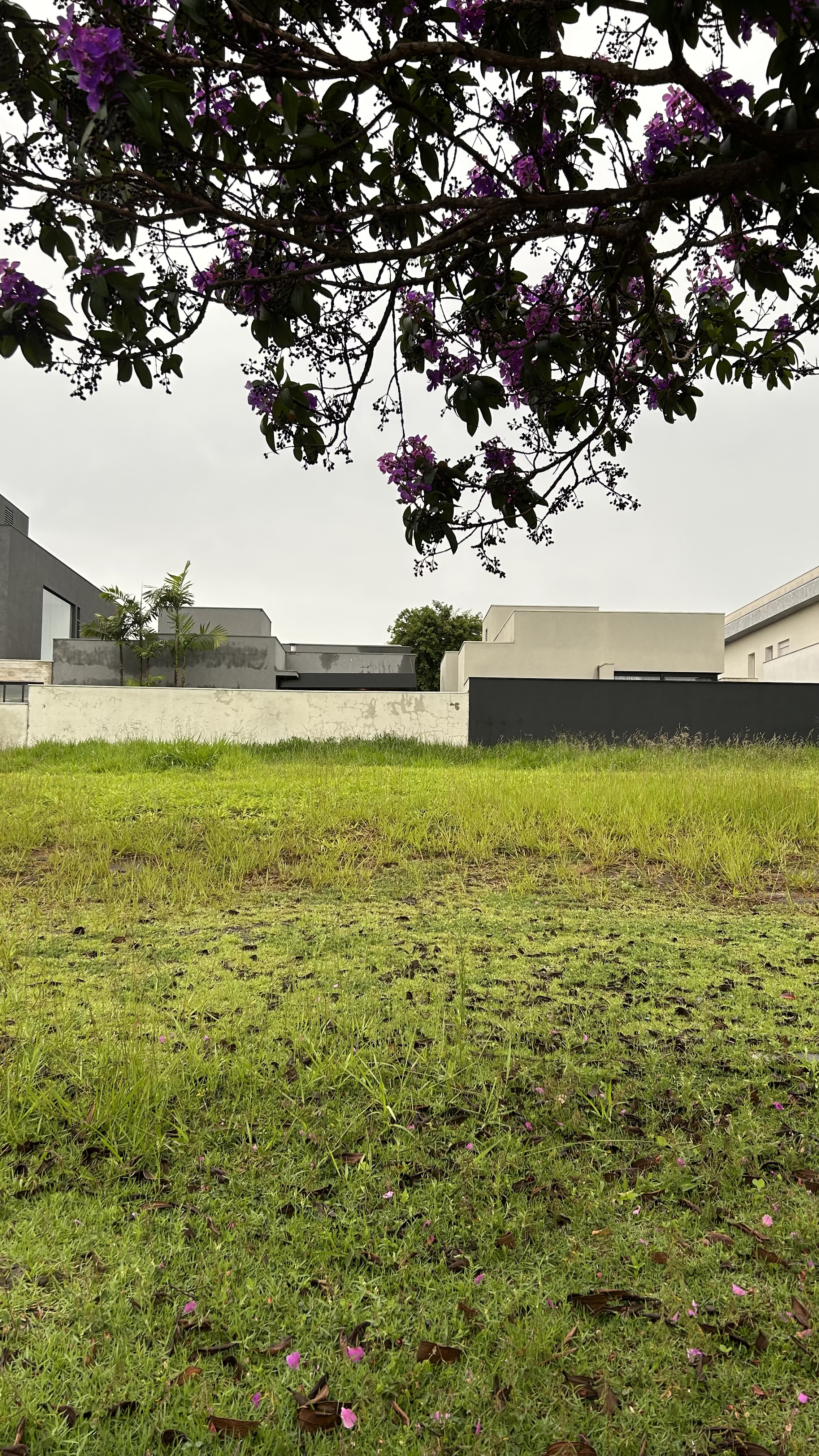 Terreno à Venda – Condomínio Olivito