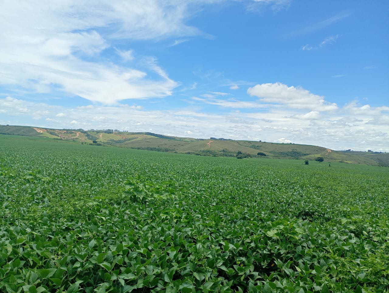 Fazenda à Venda em São Roque de Minas