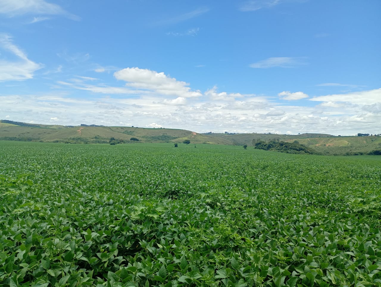 Fazenda à Venda em São Roque de Minas