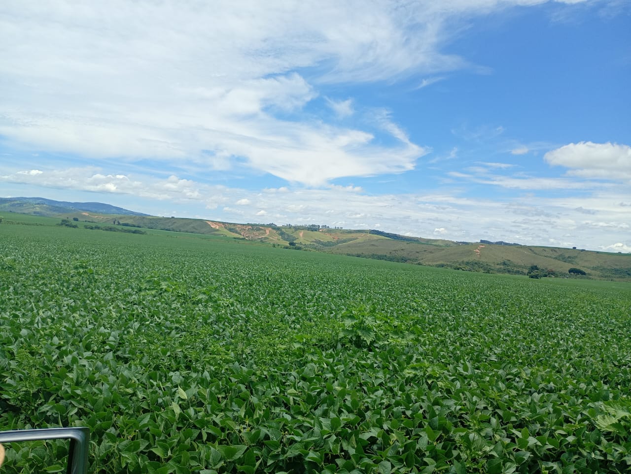 Fazenda à Venda em São Roque de Minas