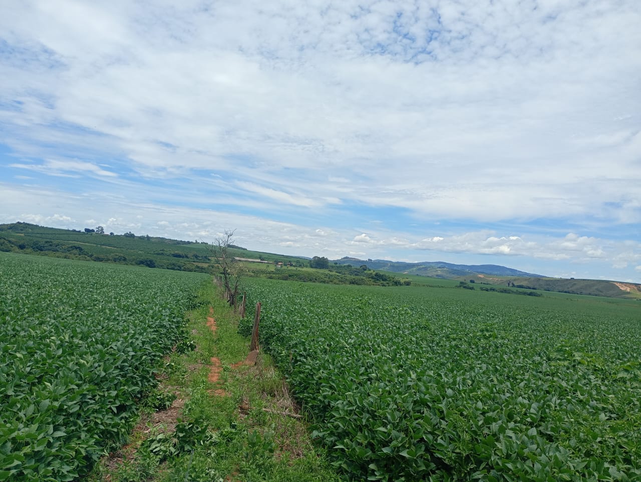 Fazenda à Venda em São Roque de Minas