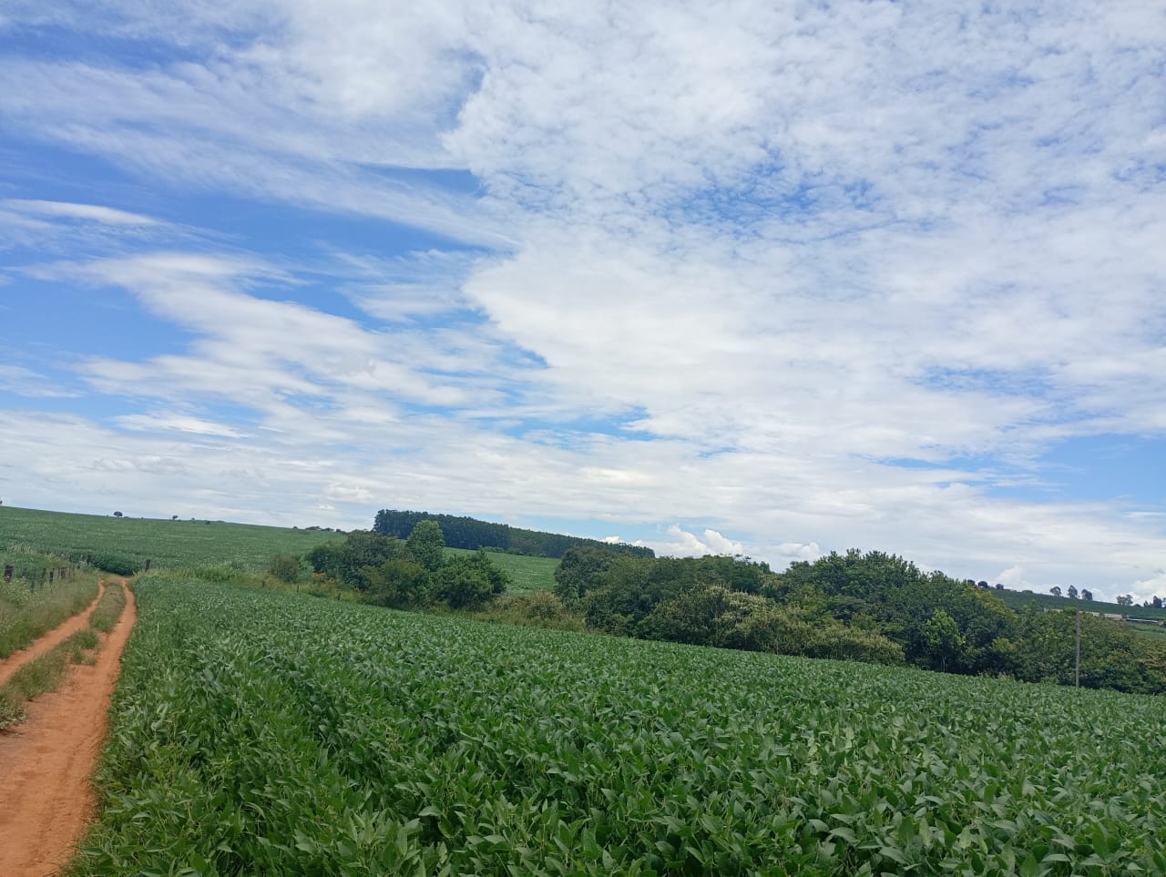 Fazenda à Venda em São Roque de Minas