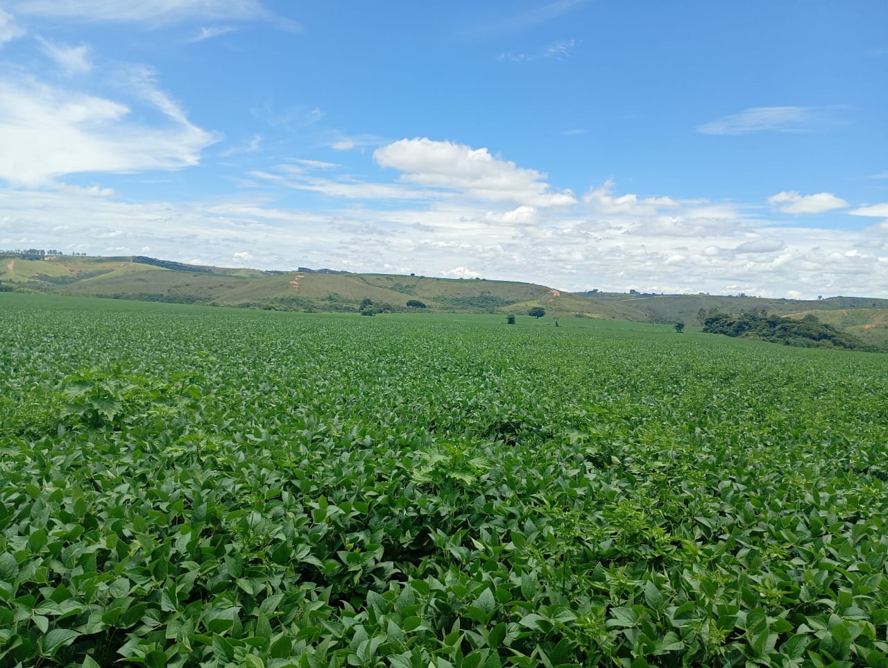 Fazenda à Venda em São Roque de Minas