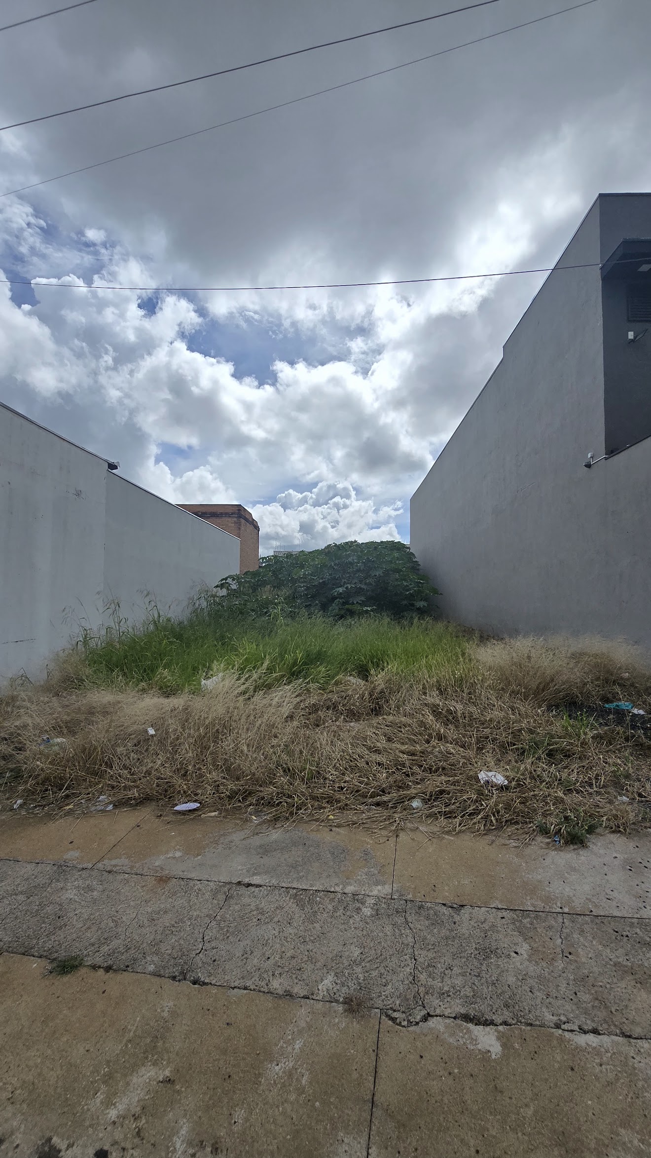 Terreno no bairro Parque Doutor Carrão à Venda