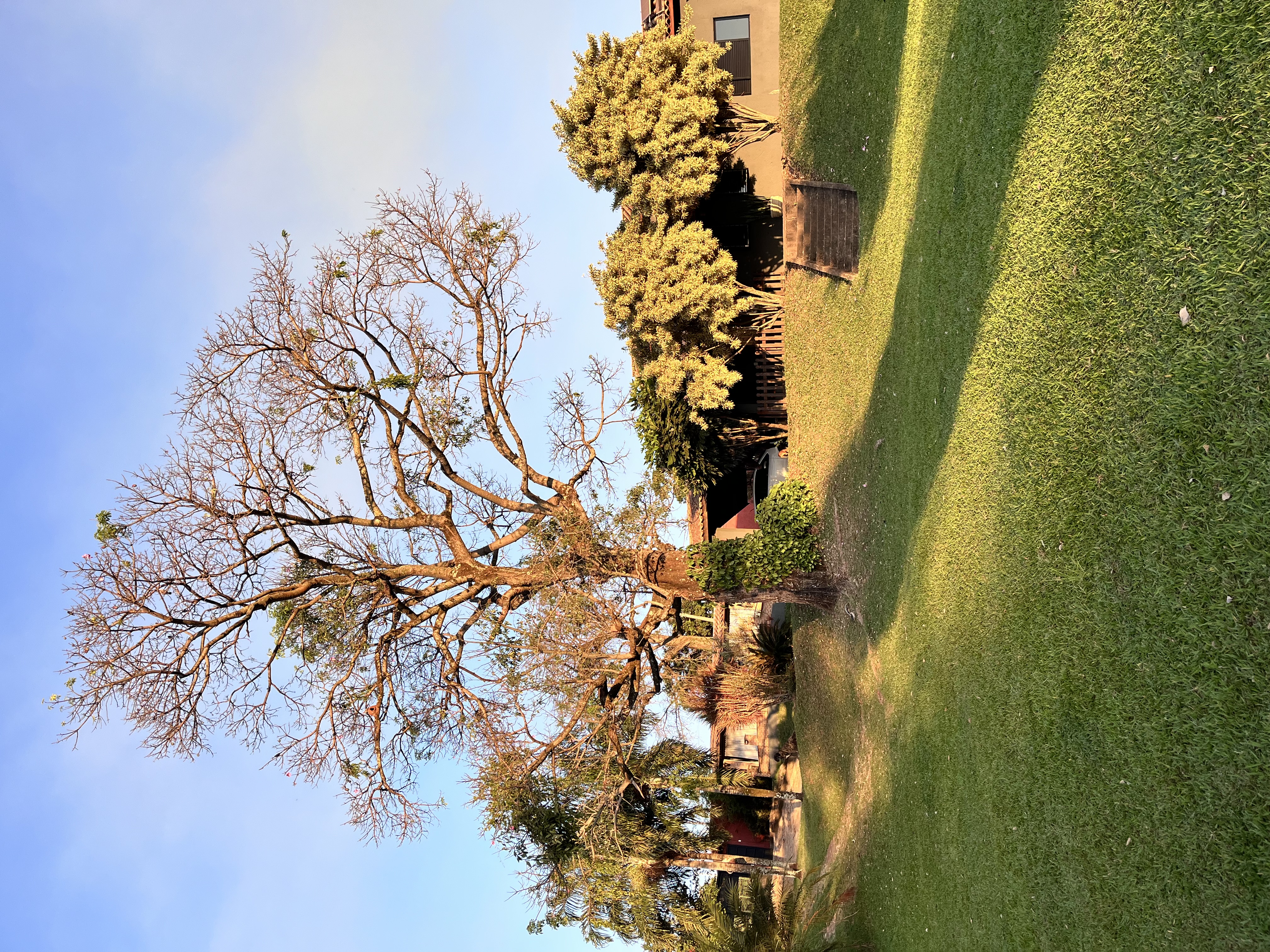 Casa no bairro Jardim Monte Carlo à Venda
