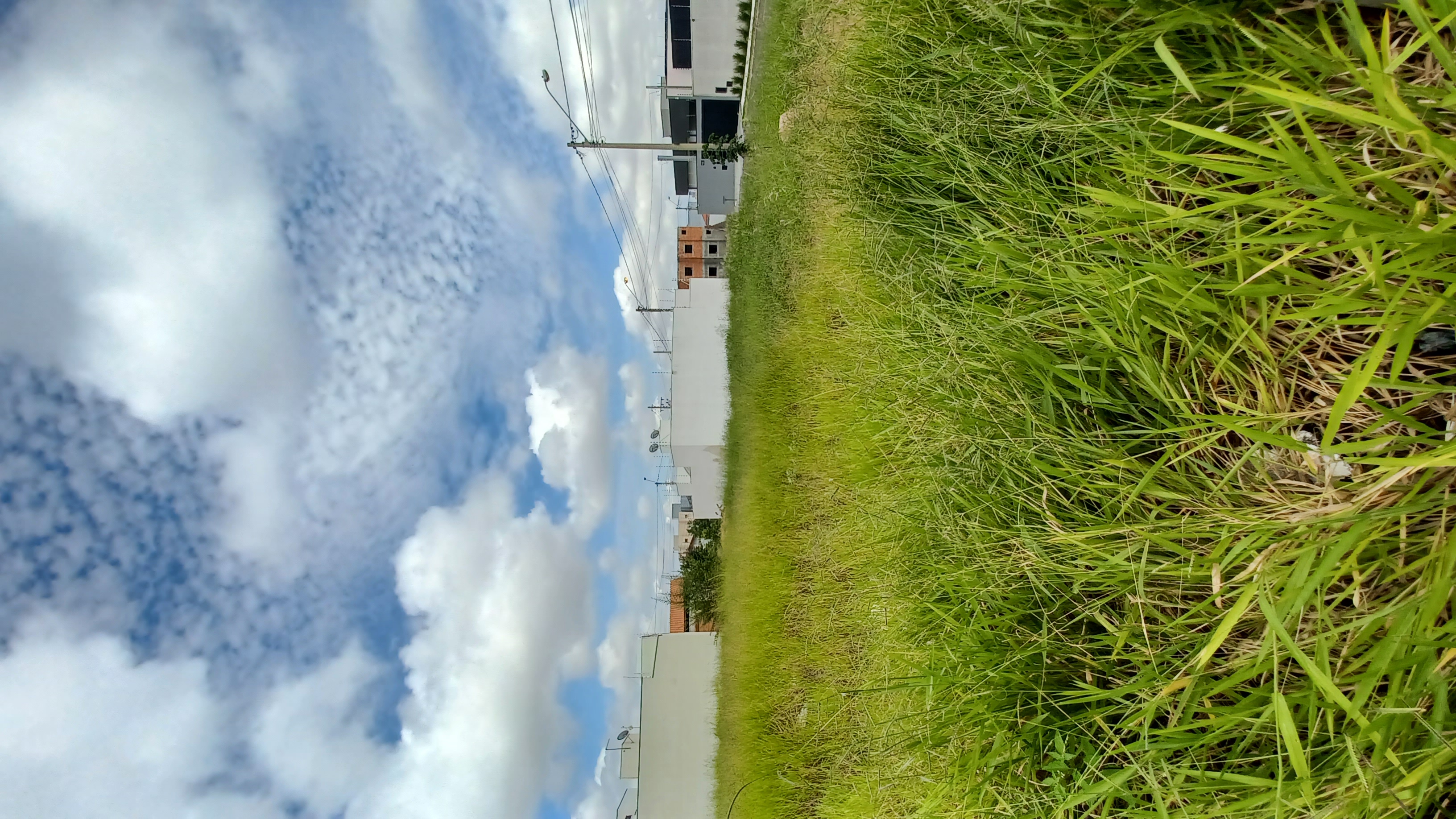 Terreno no bairro Jardim Botânico à Venda