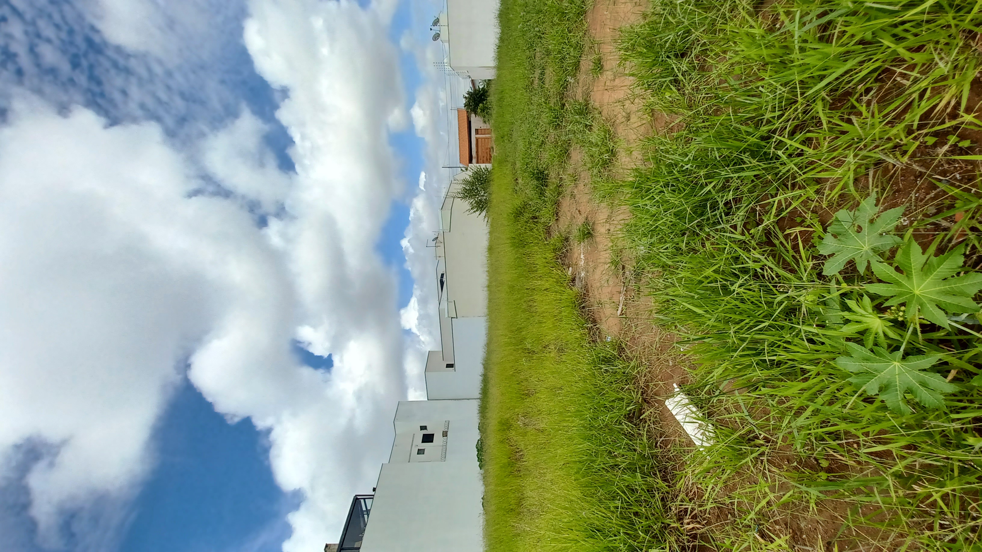 Terreno no bairro Jardim Botânico à Venda