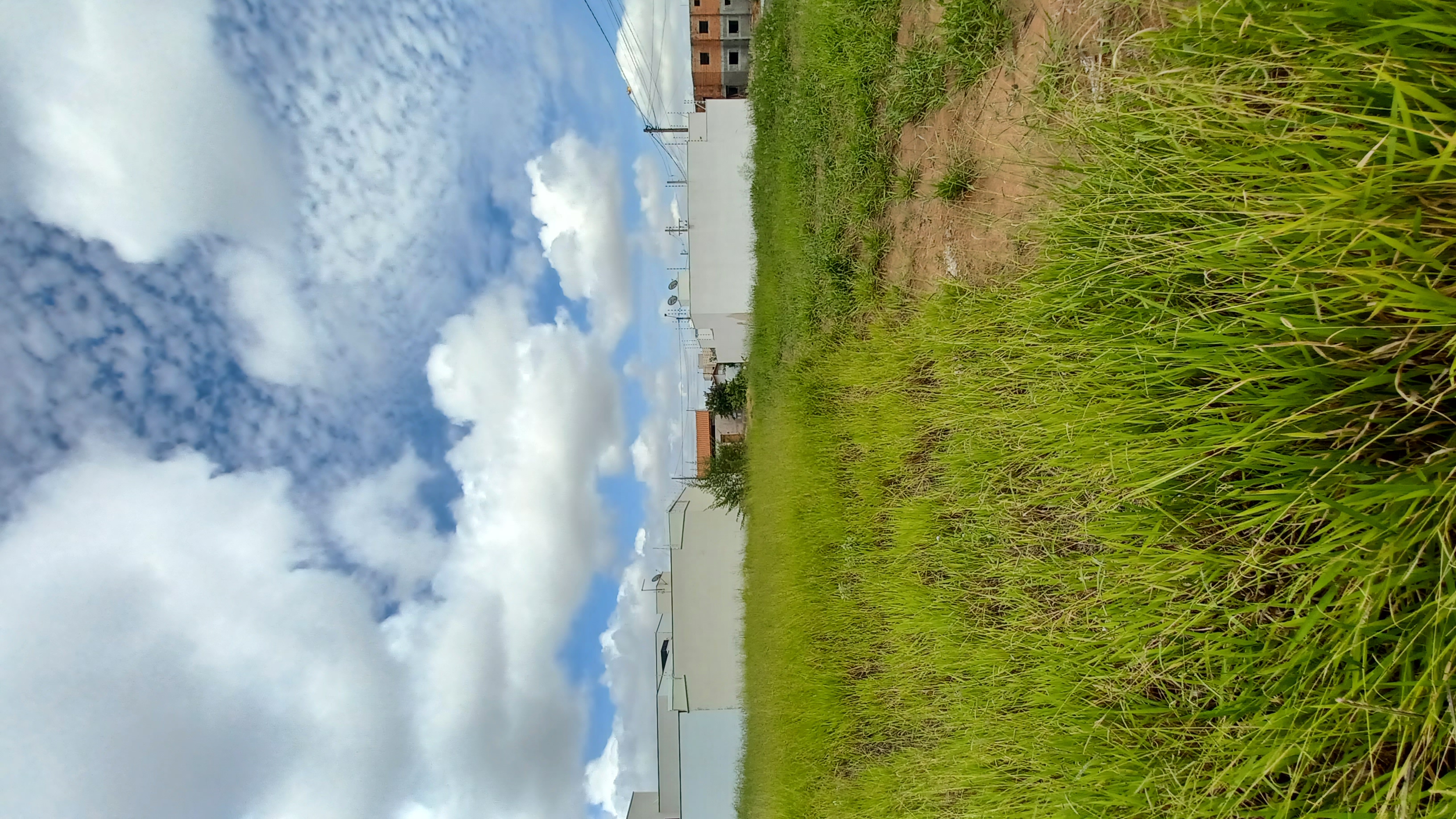 Terreno no bairro Jardim Botânico à Venda