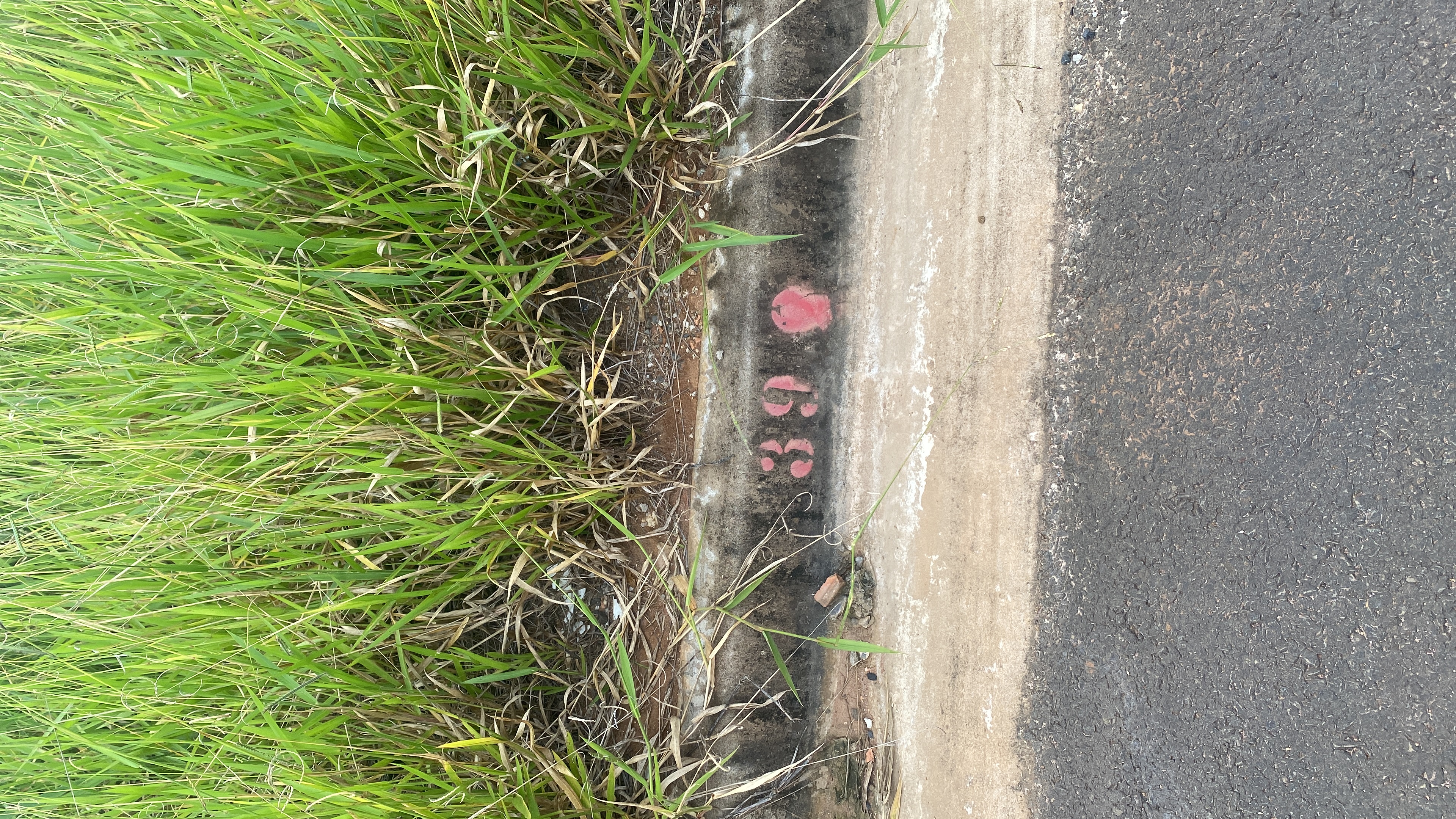 Terreno no bairro Residencial Ana Dorothéa à Venda