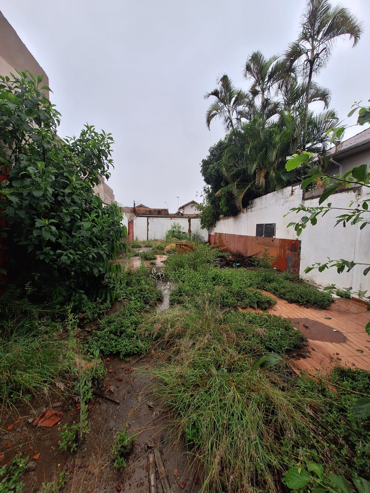 Terreno no Centro à Venda