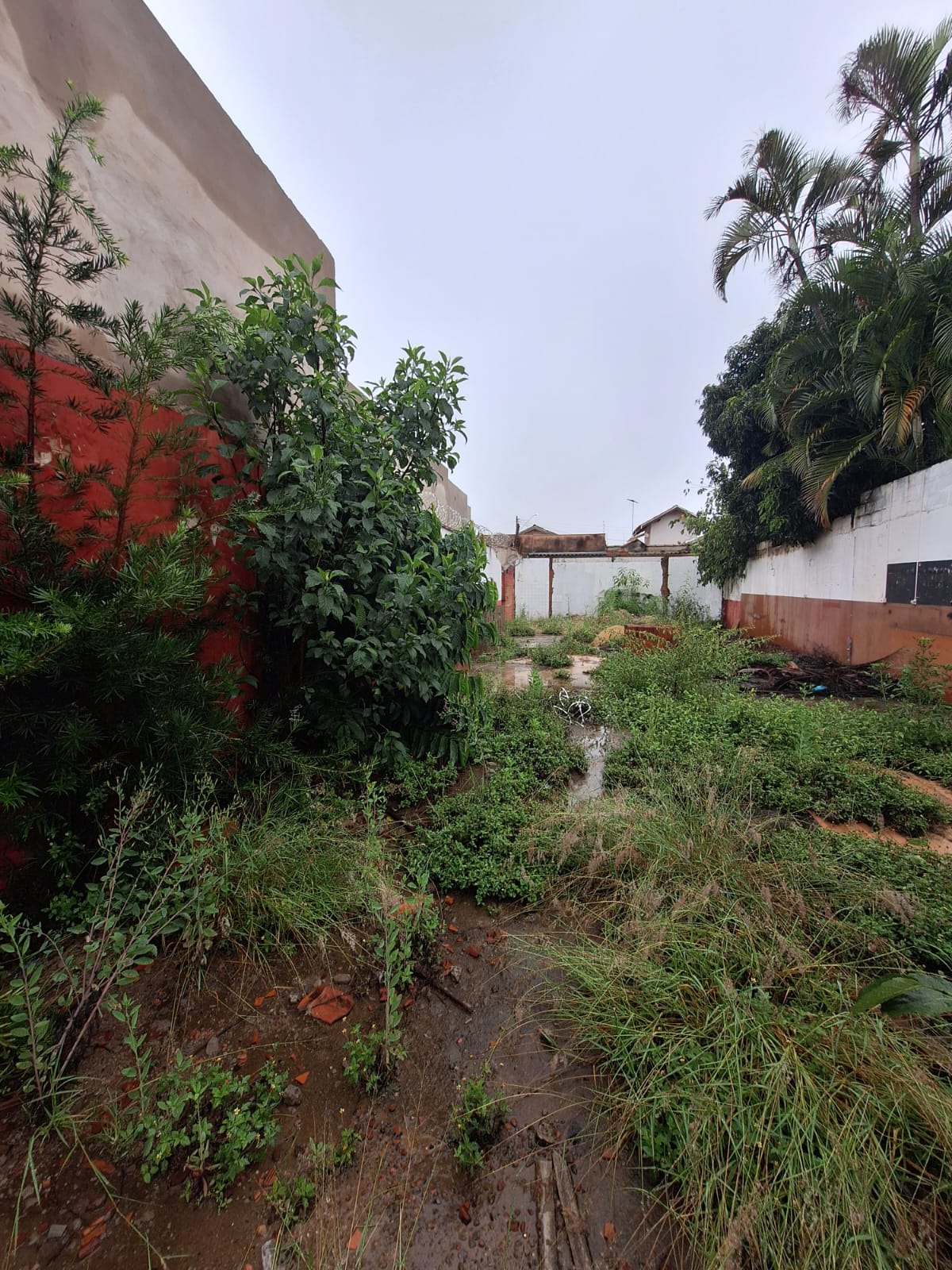 Terreno no Centro à Venda