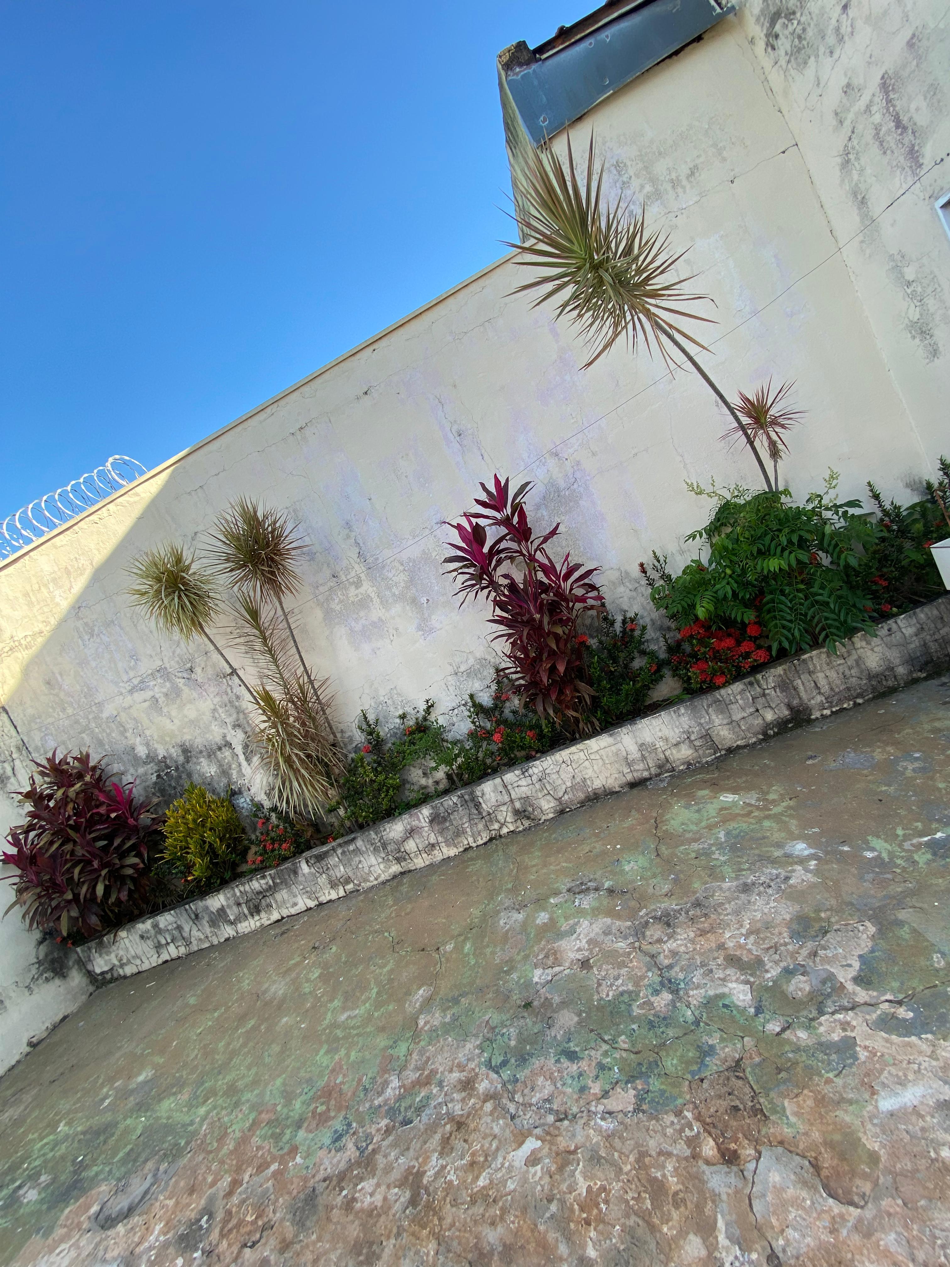 Casa no bairro Vila Santa Rita à Venda