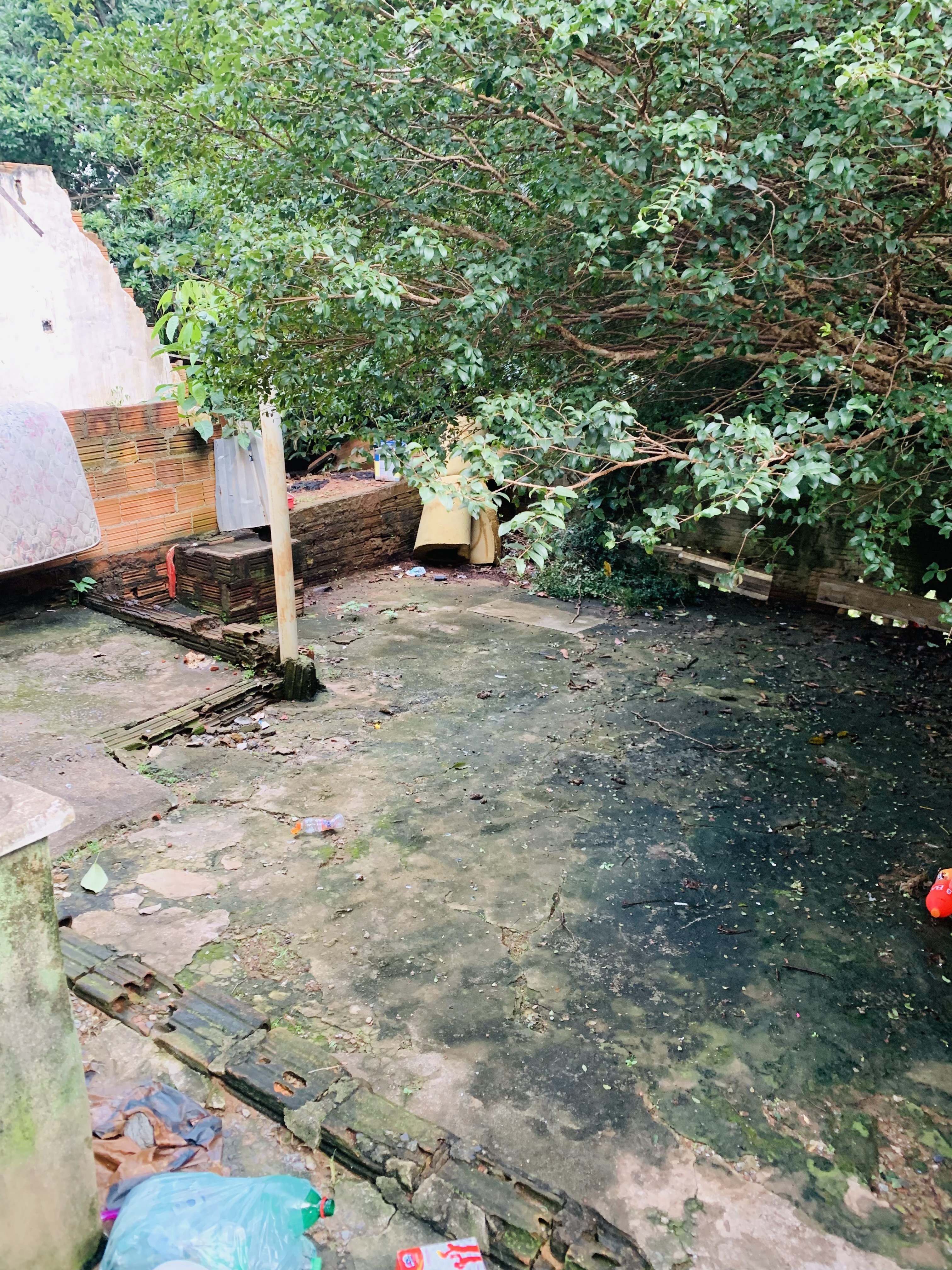 Casa no bairro Jardim Brasilândia à Venda