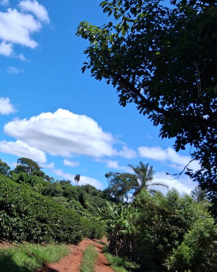 Rural no bairro Zona Rural à Venda