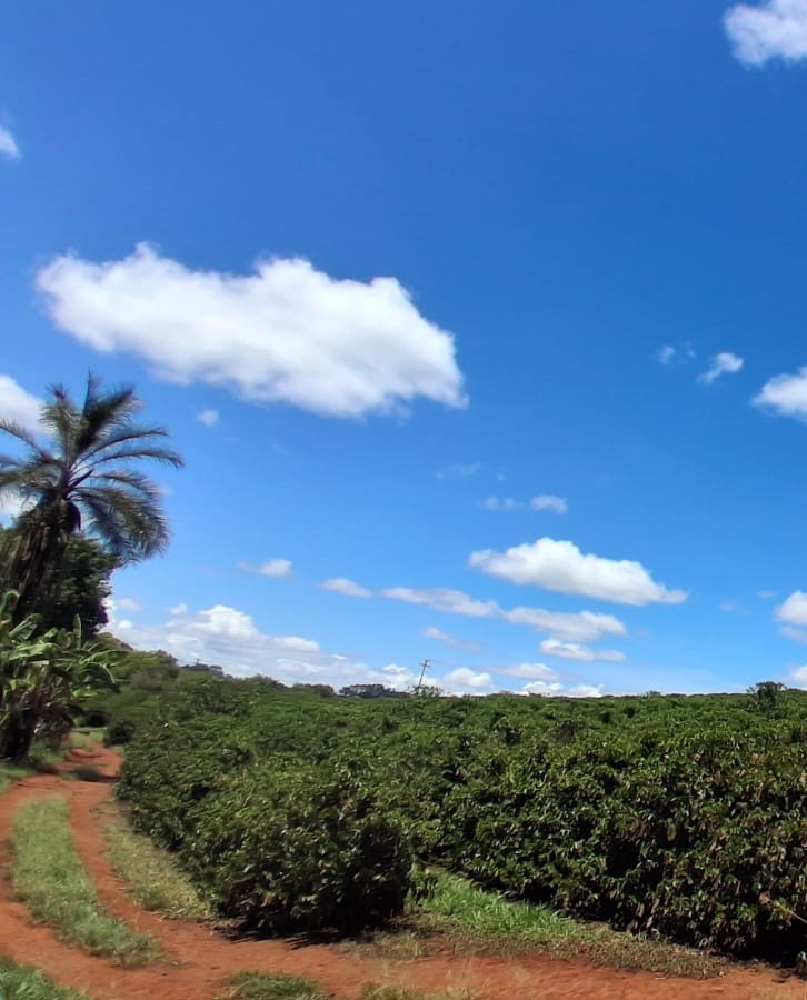 Rural no bairro Zona Rural à Venda