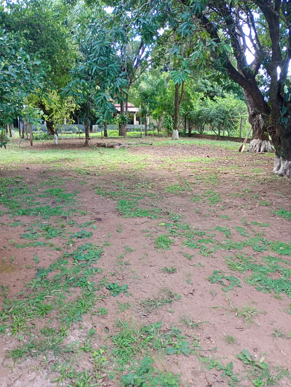 Rural no bairro Residencial Nosso Lar à Venda
