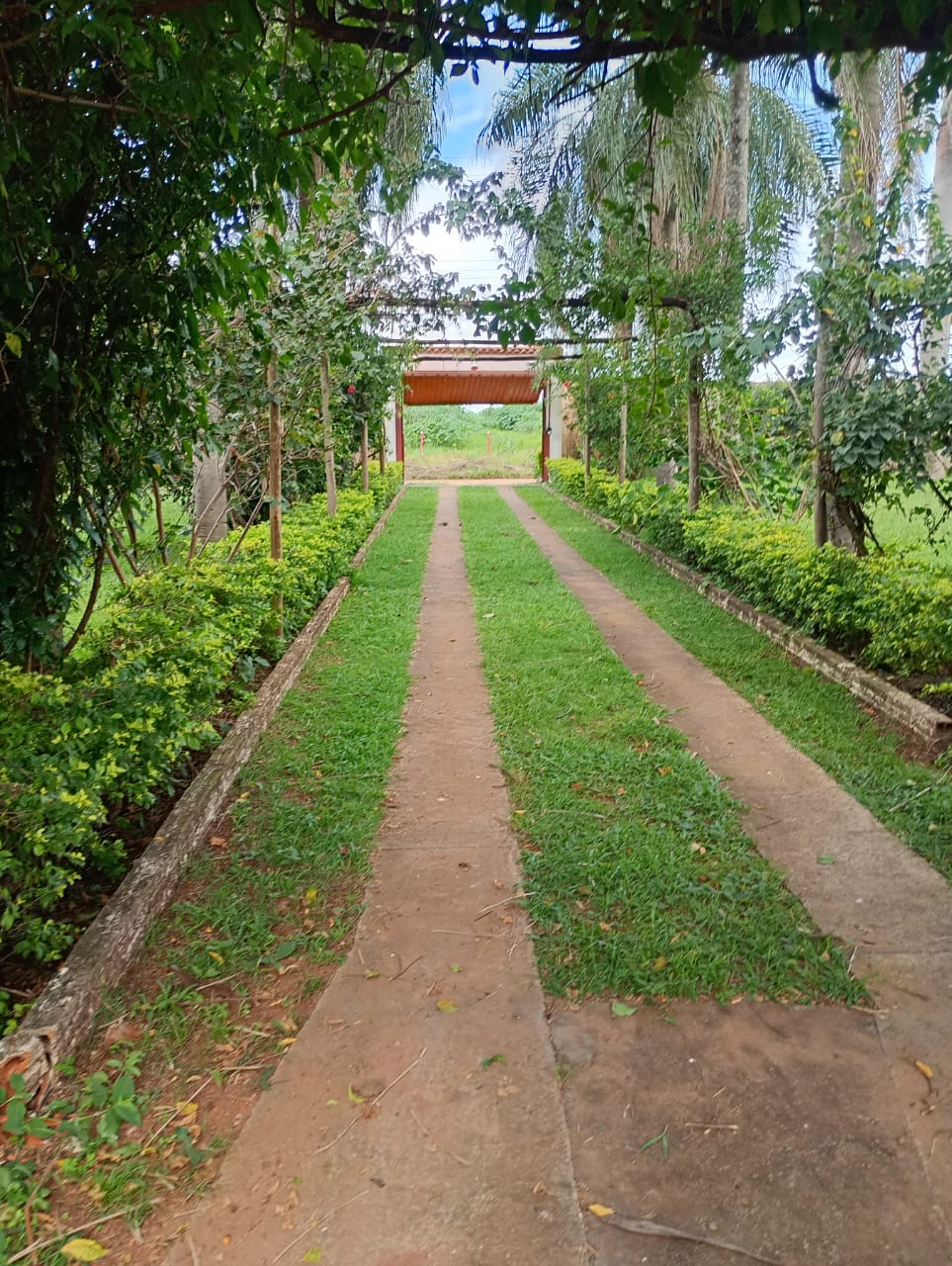 Rural no bairro Residencial Nosso Lar à Venda